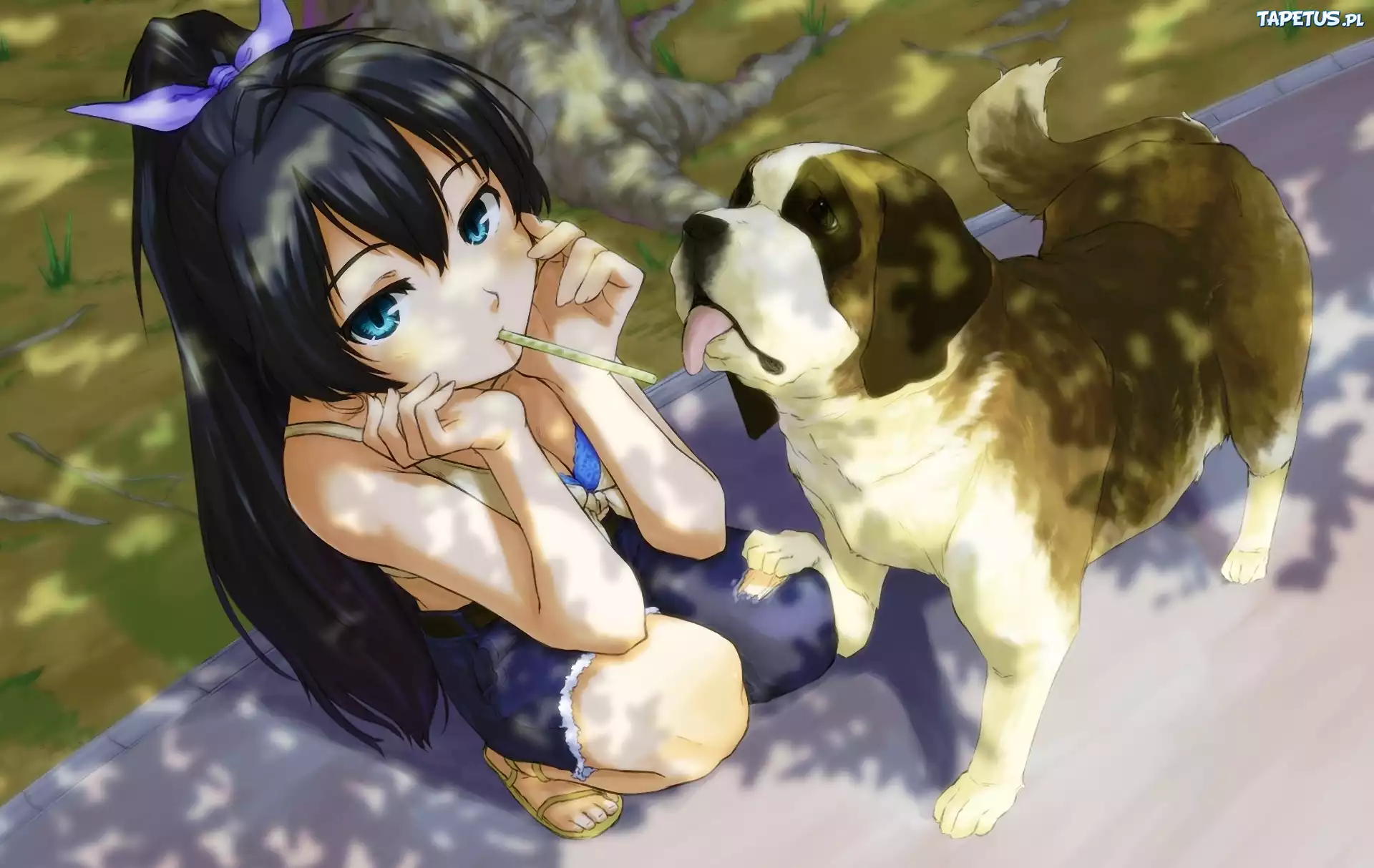 Dziewczyna, Słomka, Pies, Park, Manga, Anime