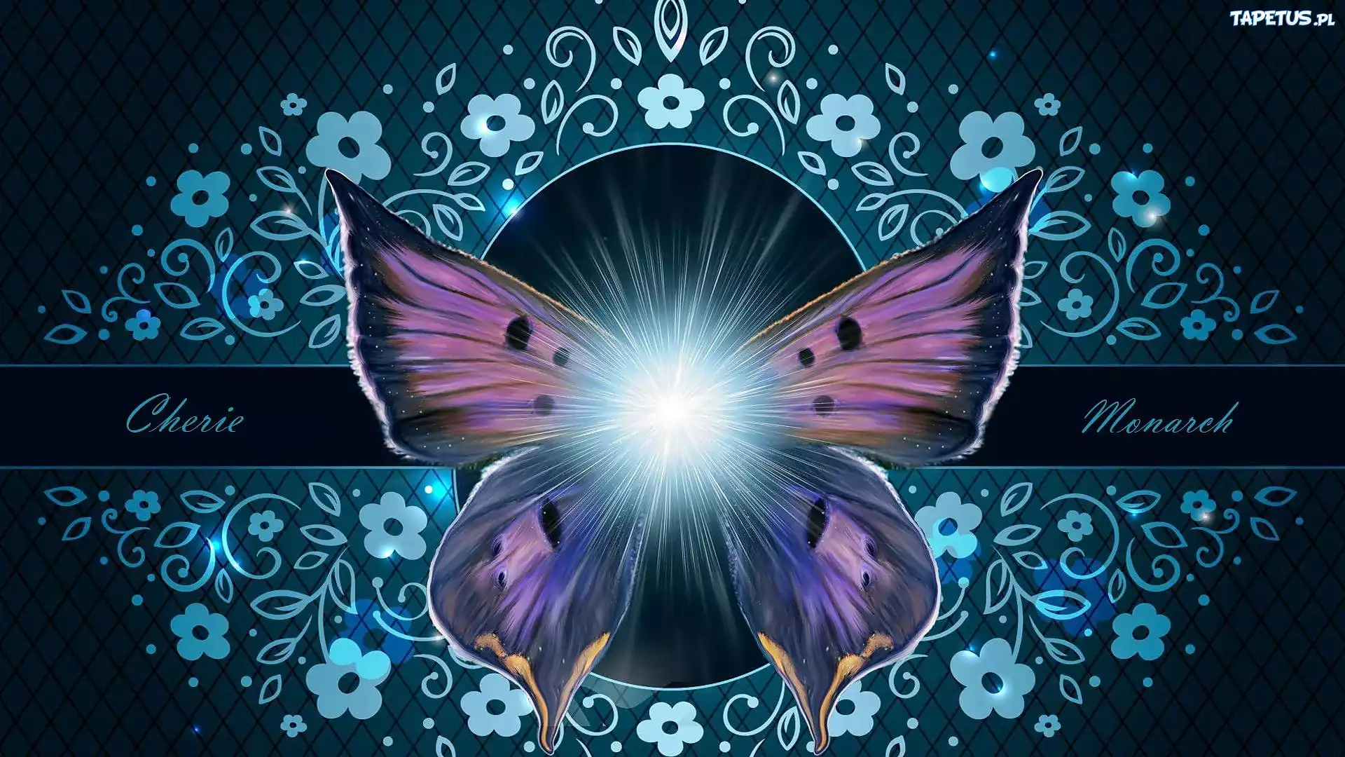 Motyl, Monarcha, Grafika