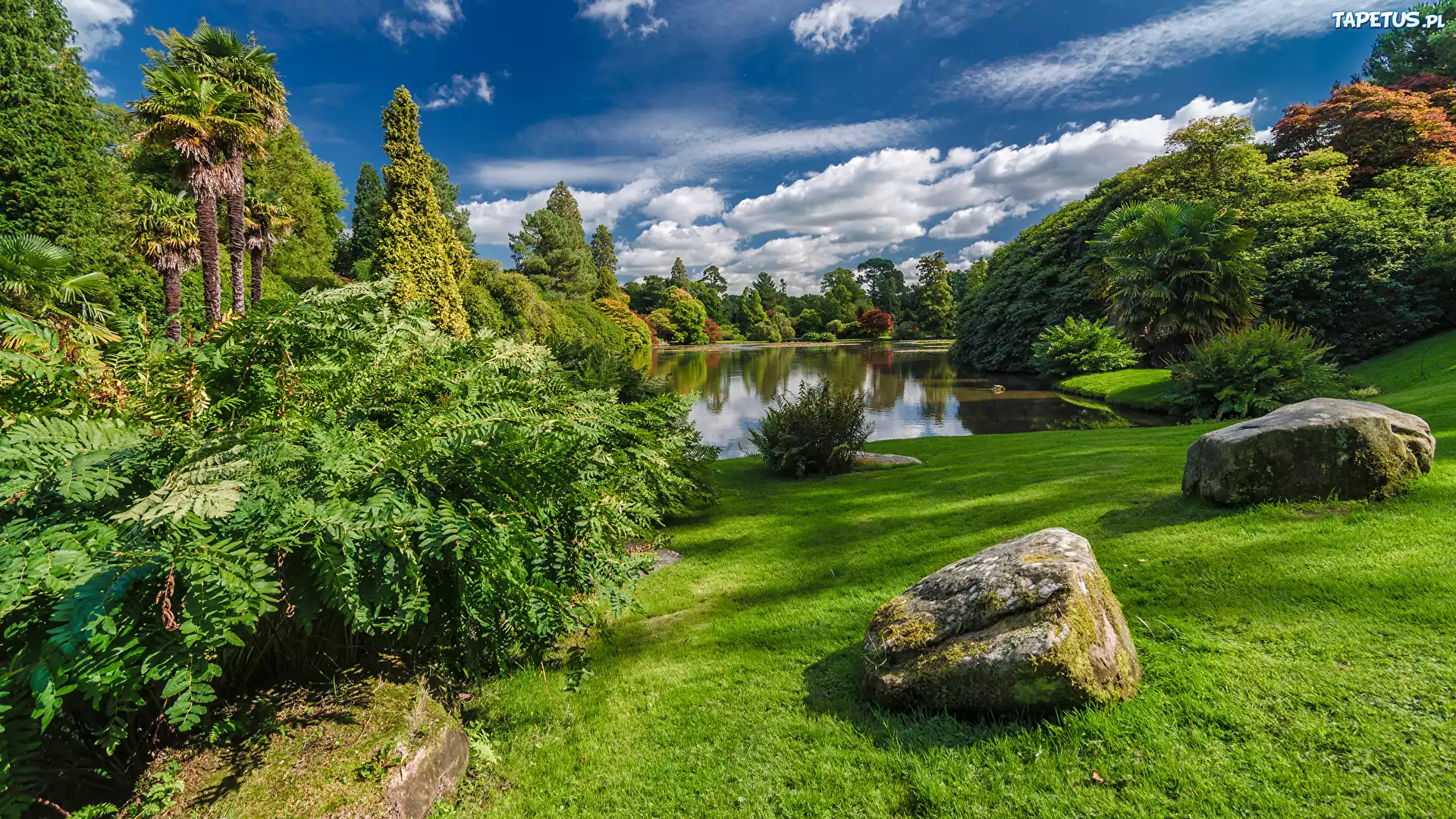 Jezioro, Park, Kamienie, Jesień
