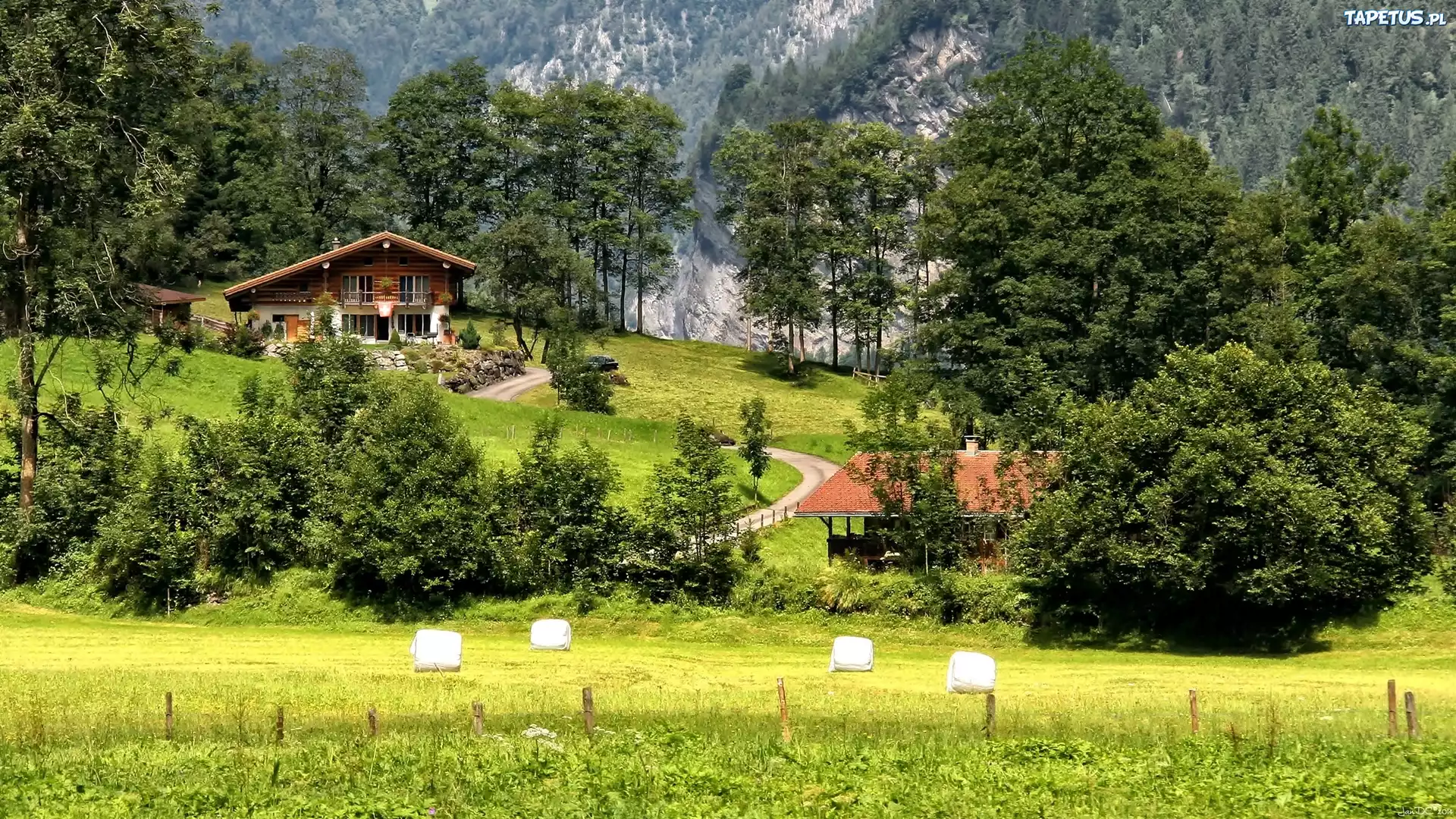 Góry, Drzewa, Pole, Dom, HDR