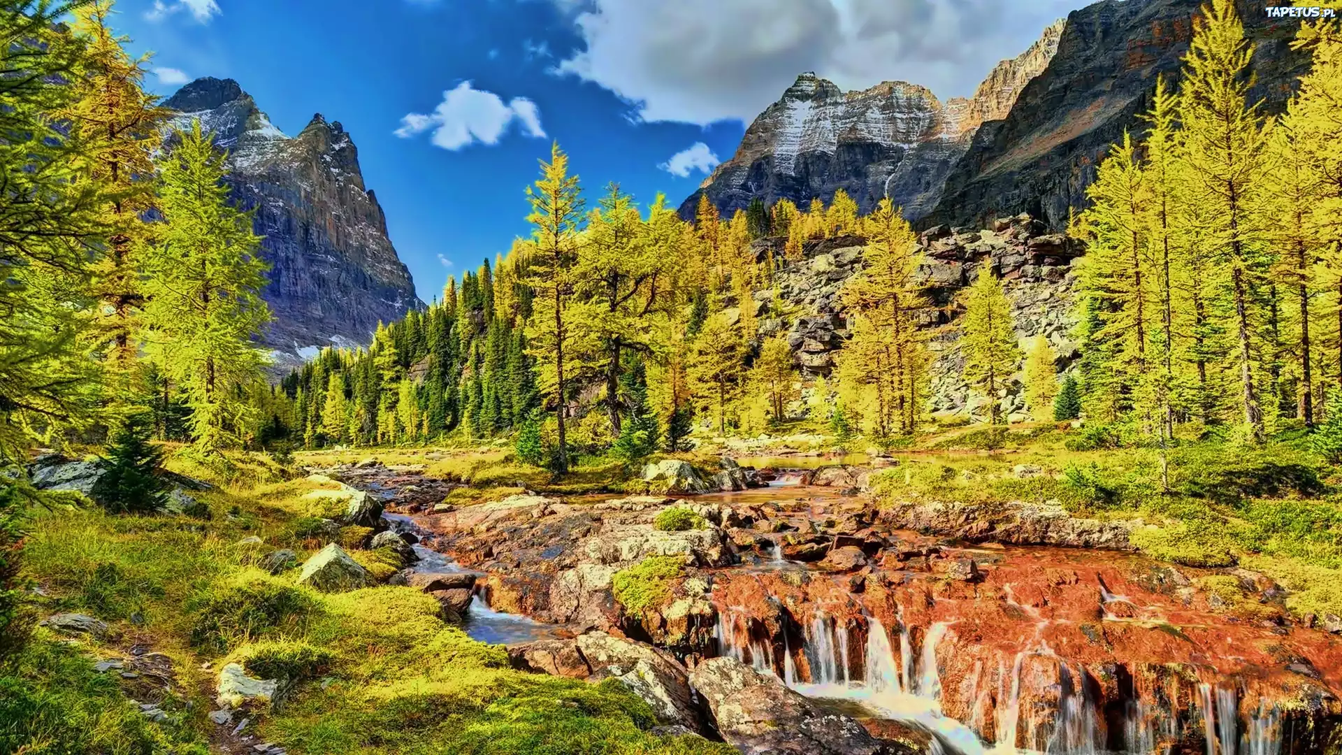 природа река деревья горы скалы nature river trees mountains rock бесплатно