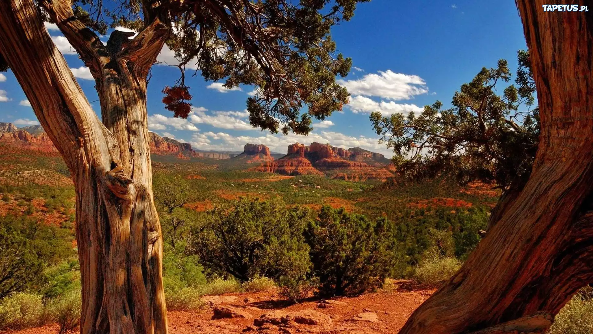 Cathedral Rock, Sedona, Arizona бесплатно