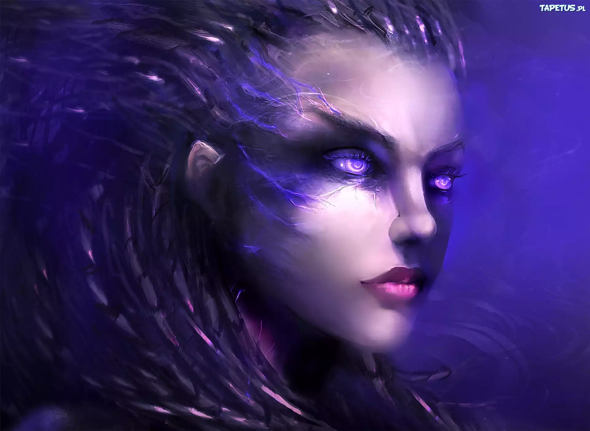 StarCraft2, Sara Kerrigan, Postać