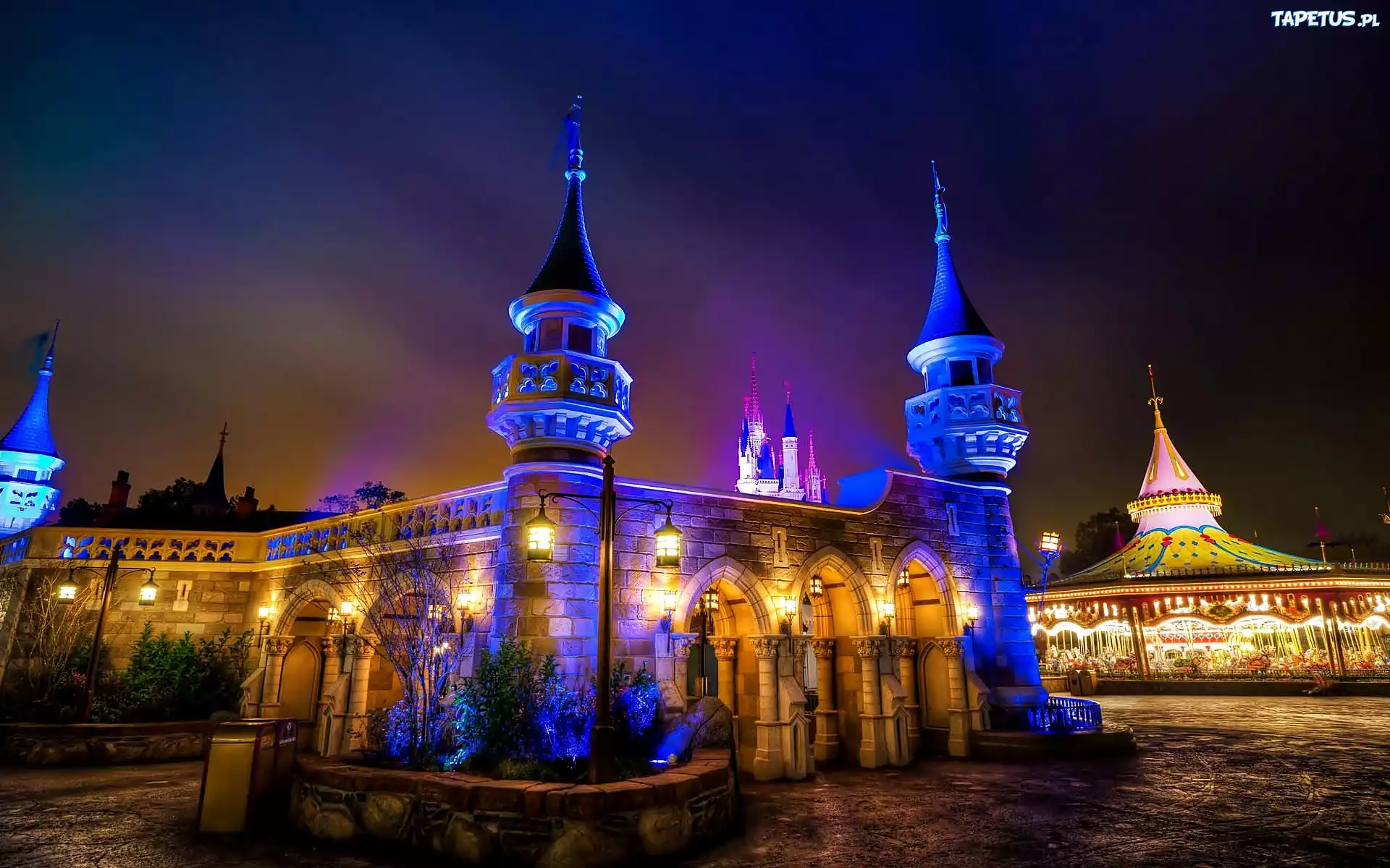 Disneyland, Noc