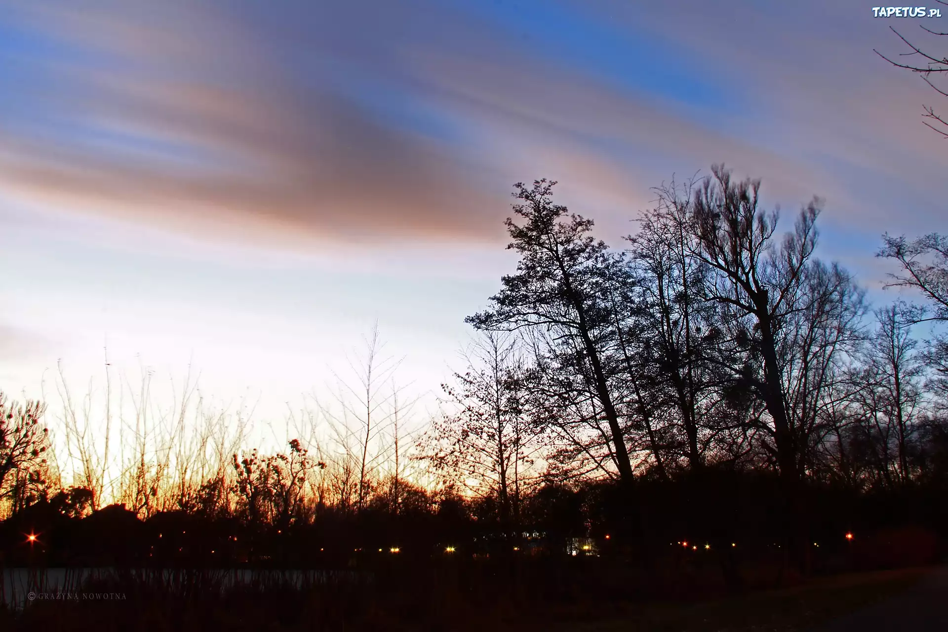 Wieczór, Park, Drzewa, Niebo