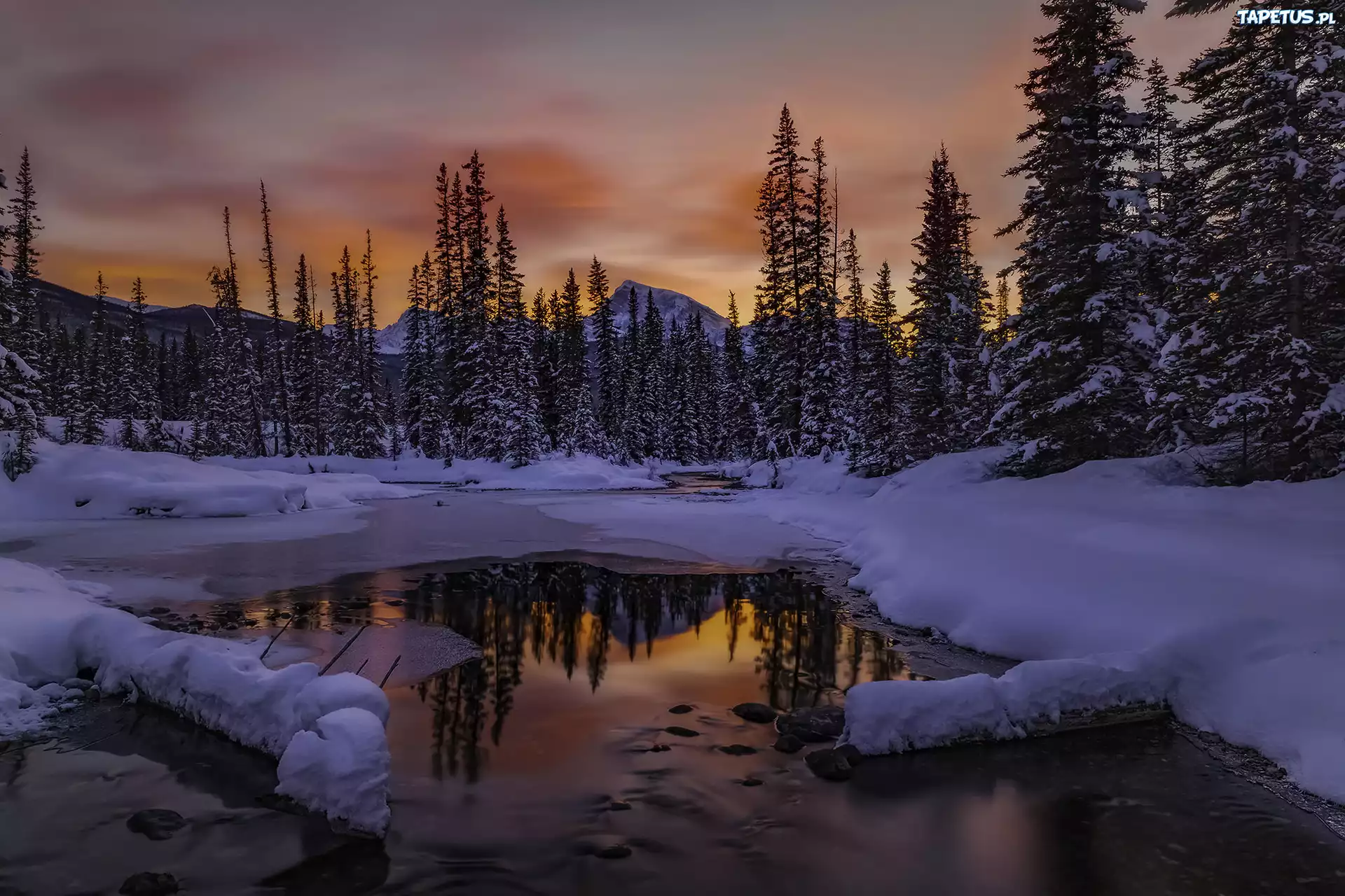 Zima, Las, Rzeka, Zachód Słońca, Banff, Kanada