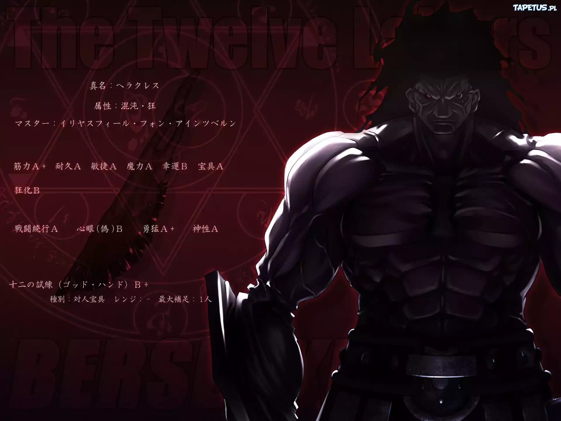 Fate Stay Night, muskularny, postać, broń, napisy