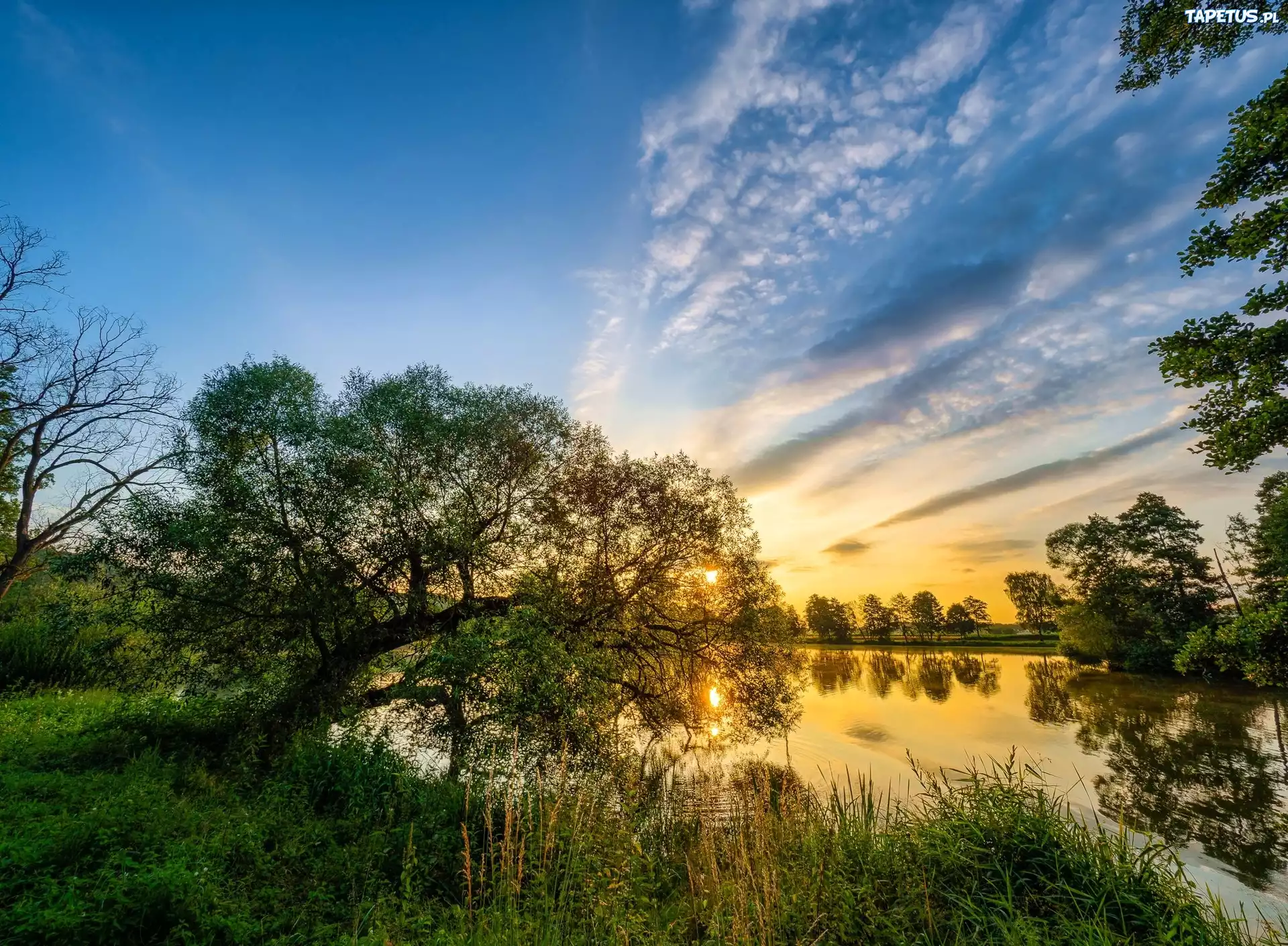 Jezioro, Drzewa, Trawy, Wschód, Słońca