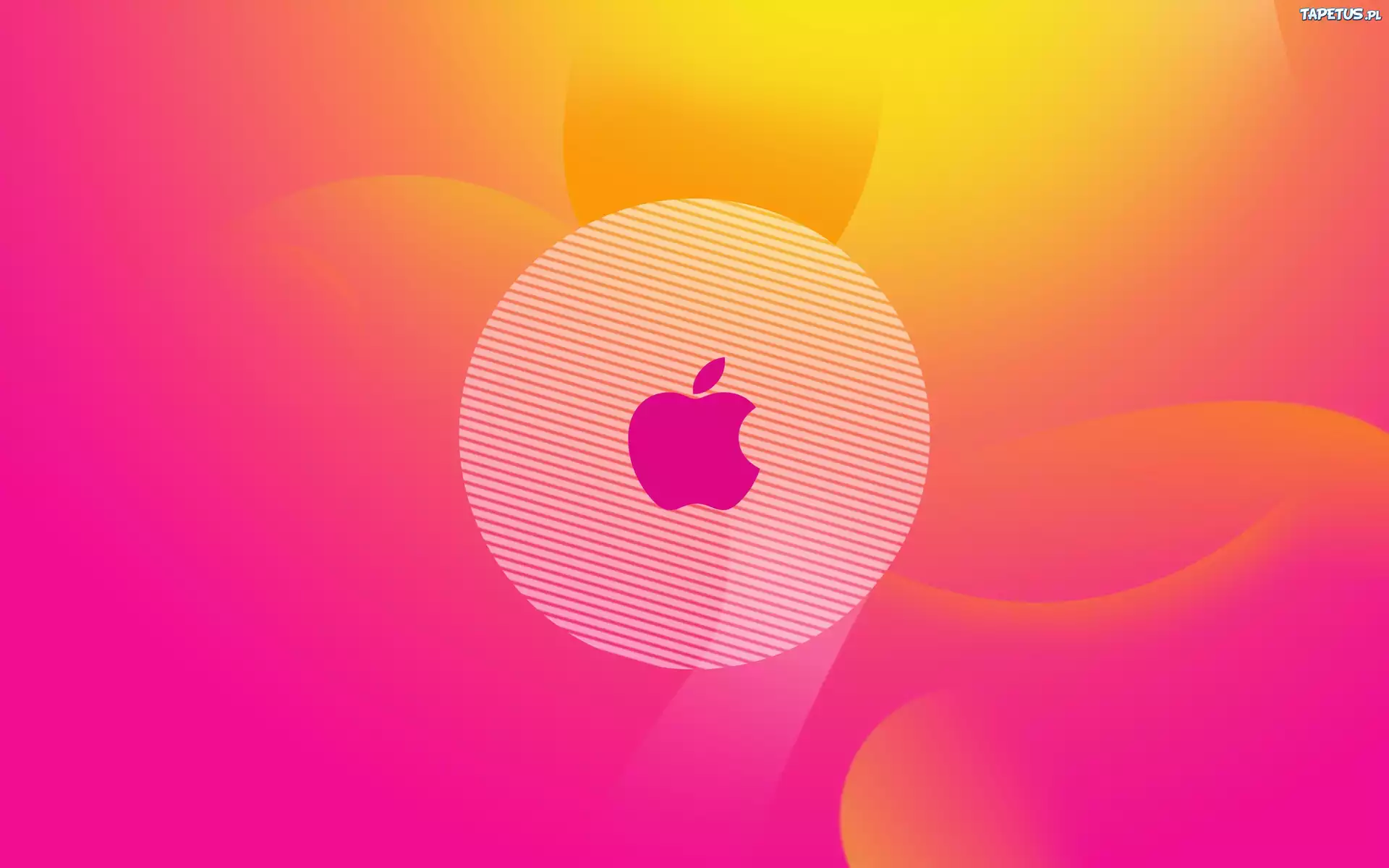 Różowe, Apple, Logo