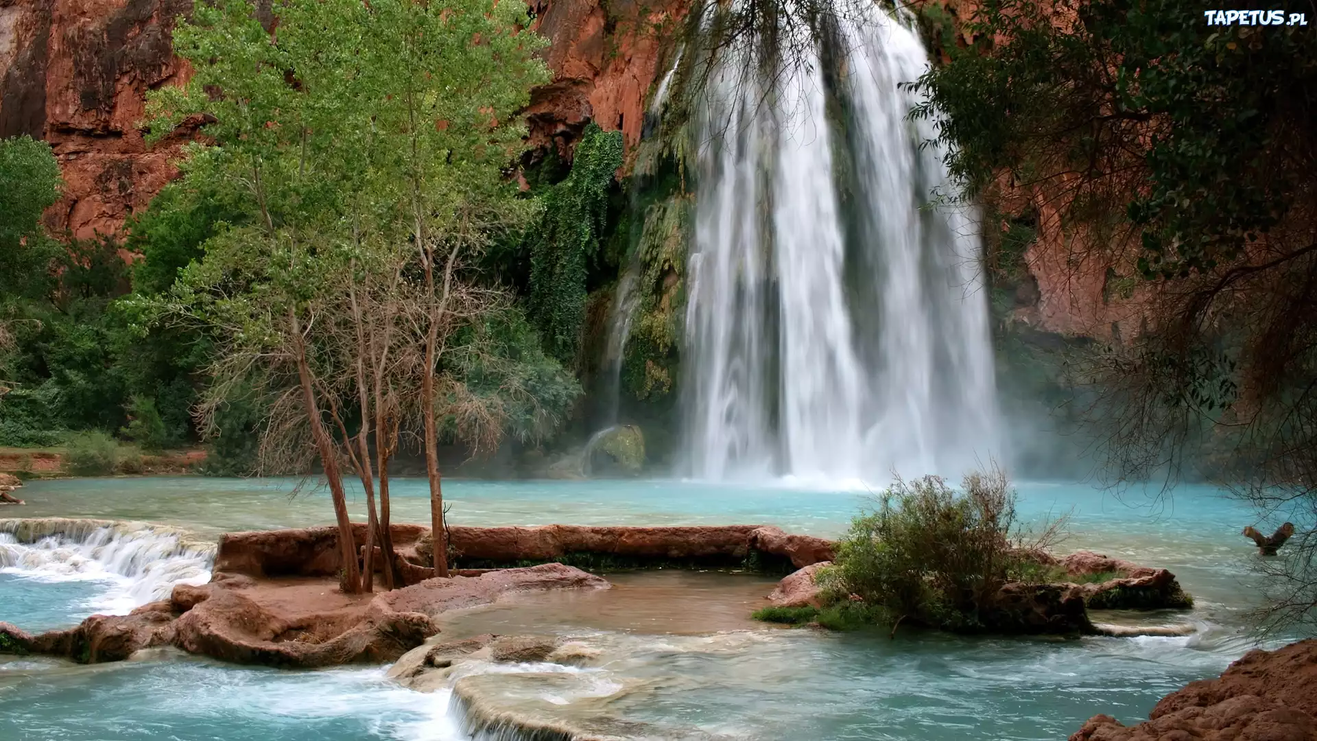 Wodospad, Havasu, Drzewa, Skały, Arizona