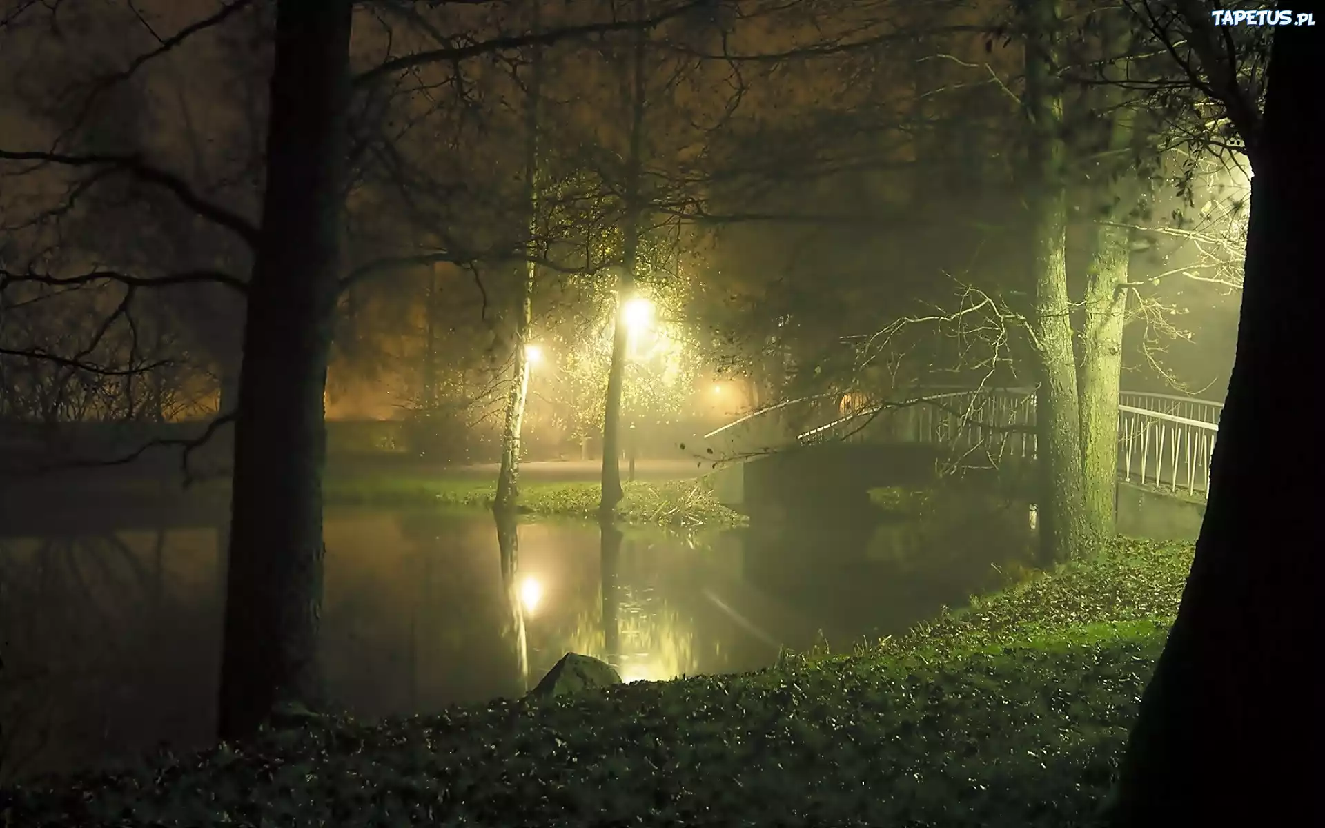 Park, Mgła, Most