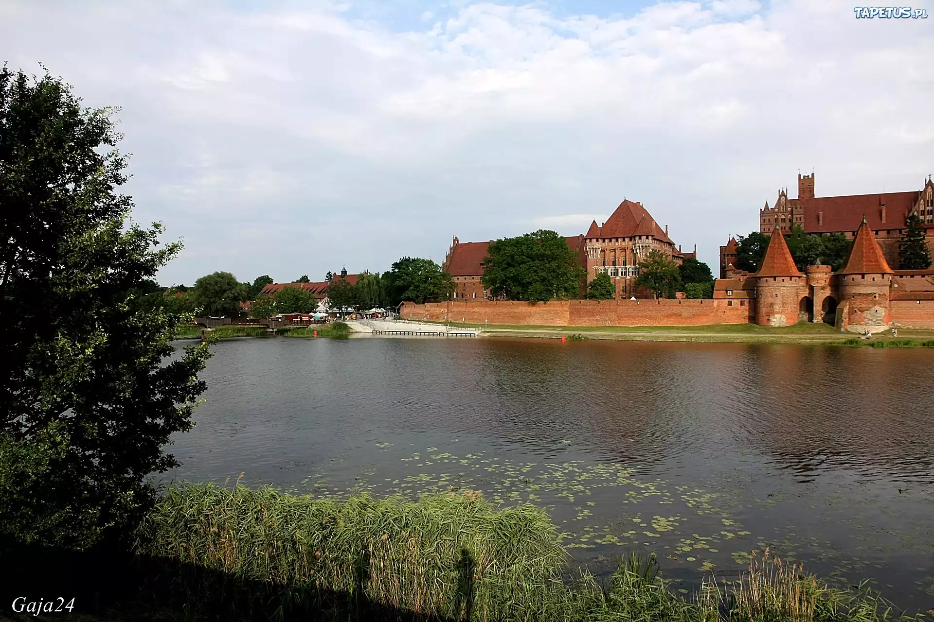 Zamek Krzyżacki, Rzeka Nogat, Malbork, Polska