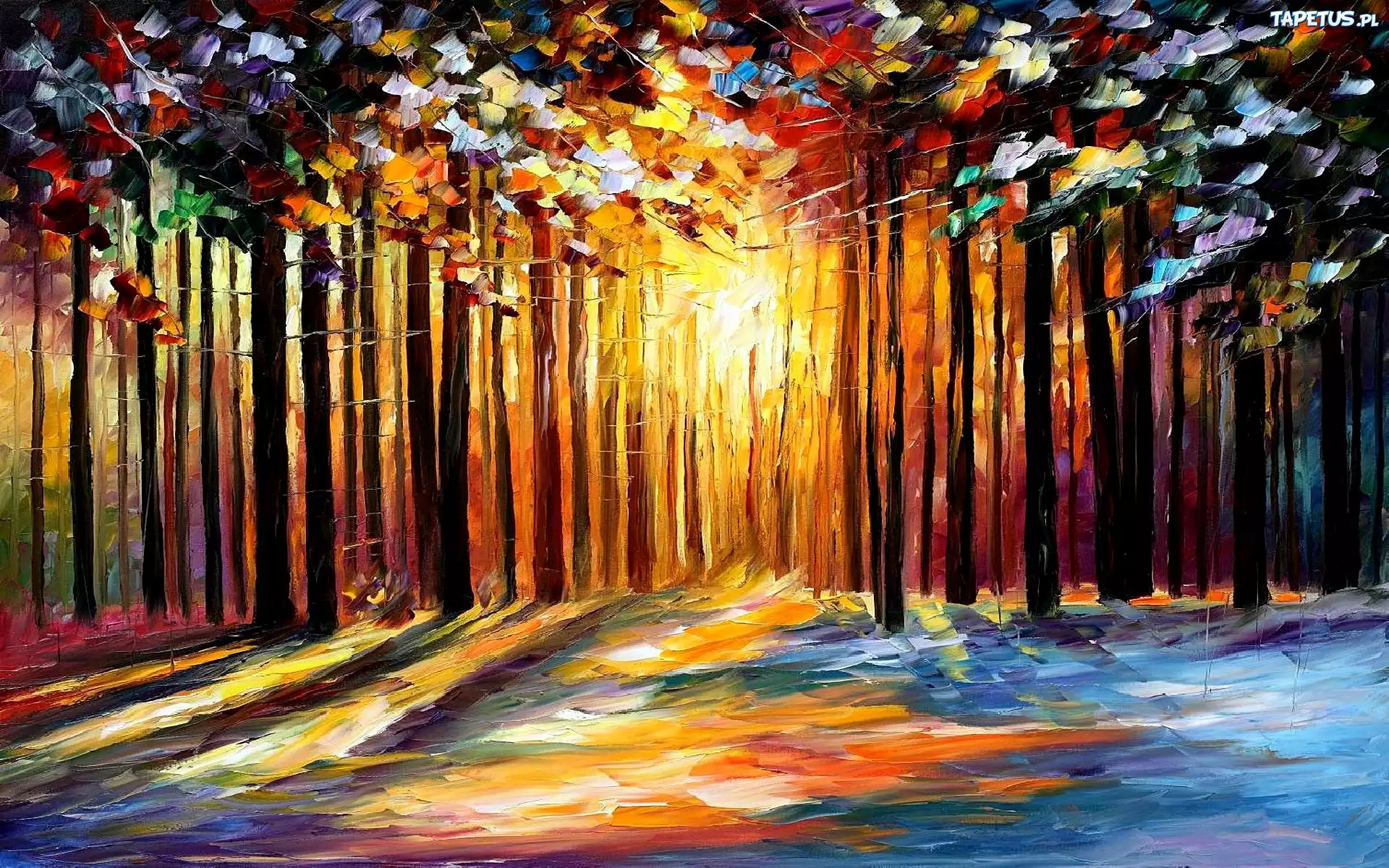 Las, Światło, Leonid Afremov, Obraz, Olej