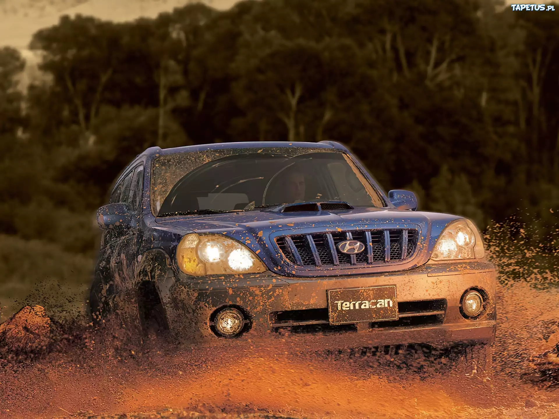 Hyundai Terracan, Błoto