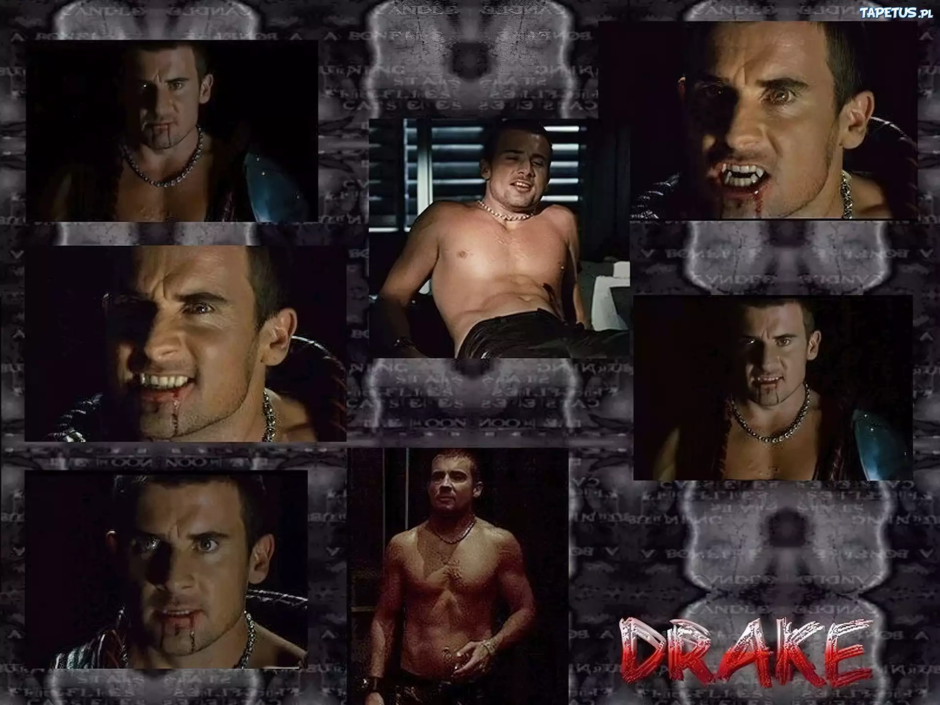 Dominic Purcell, drake, krew