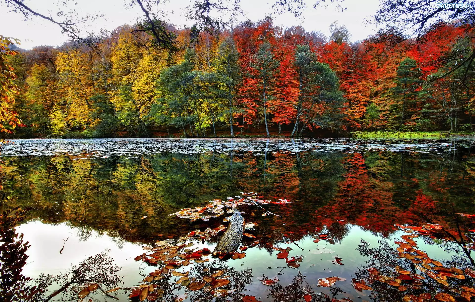 Jezioro, Odbicie