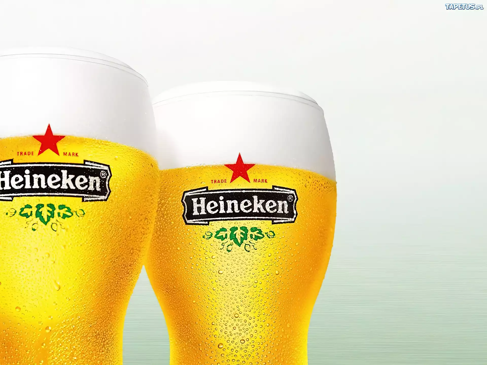 Piwo, Heineken, pianka