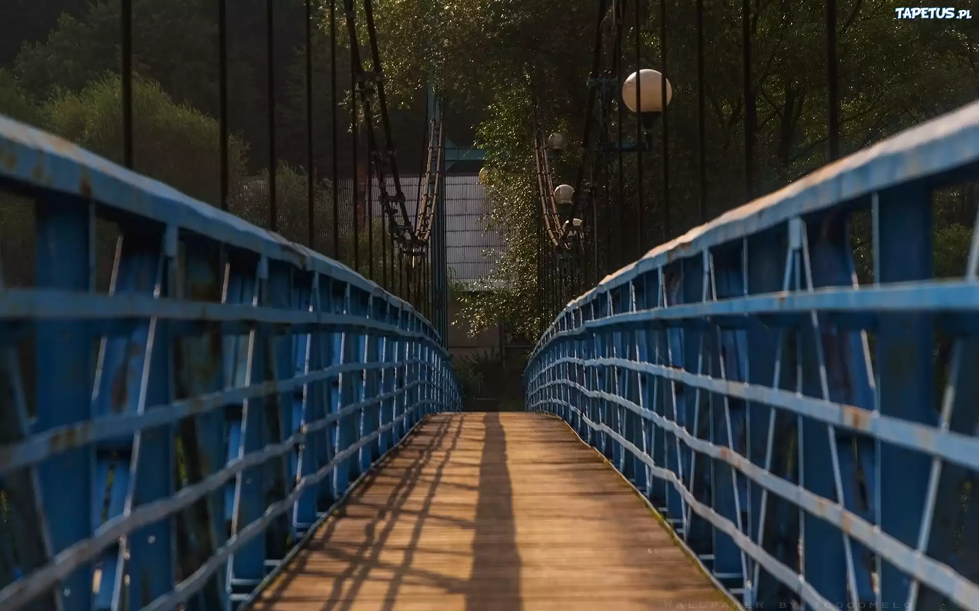 Most linowy, Kładka dla pieszych, Balustrady, Perspektywa