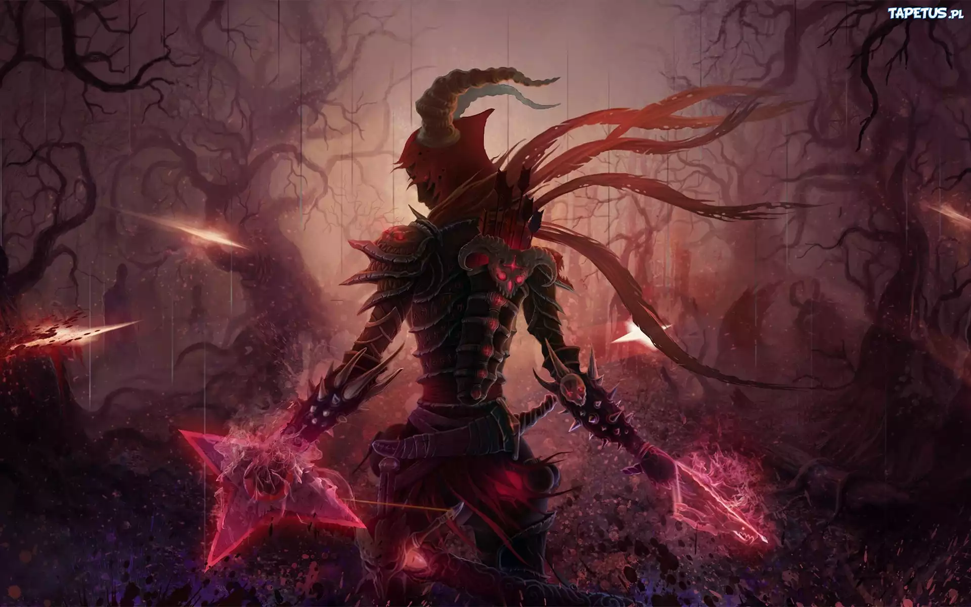 Diablo 3, Kobieta, Wojownik