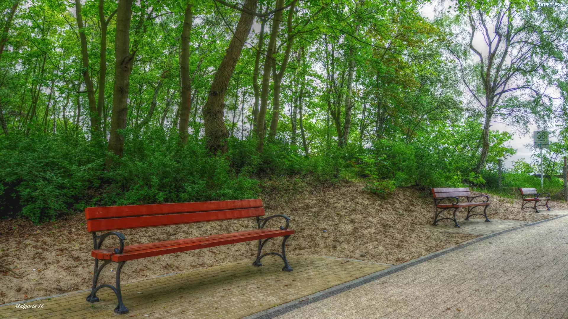 Park, Drzewa, Ławeczki, ścieżka, HDR