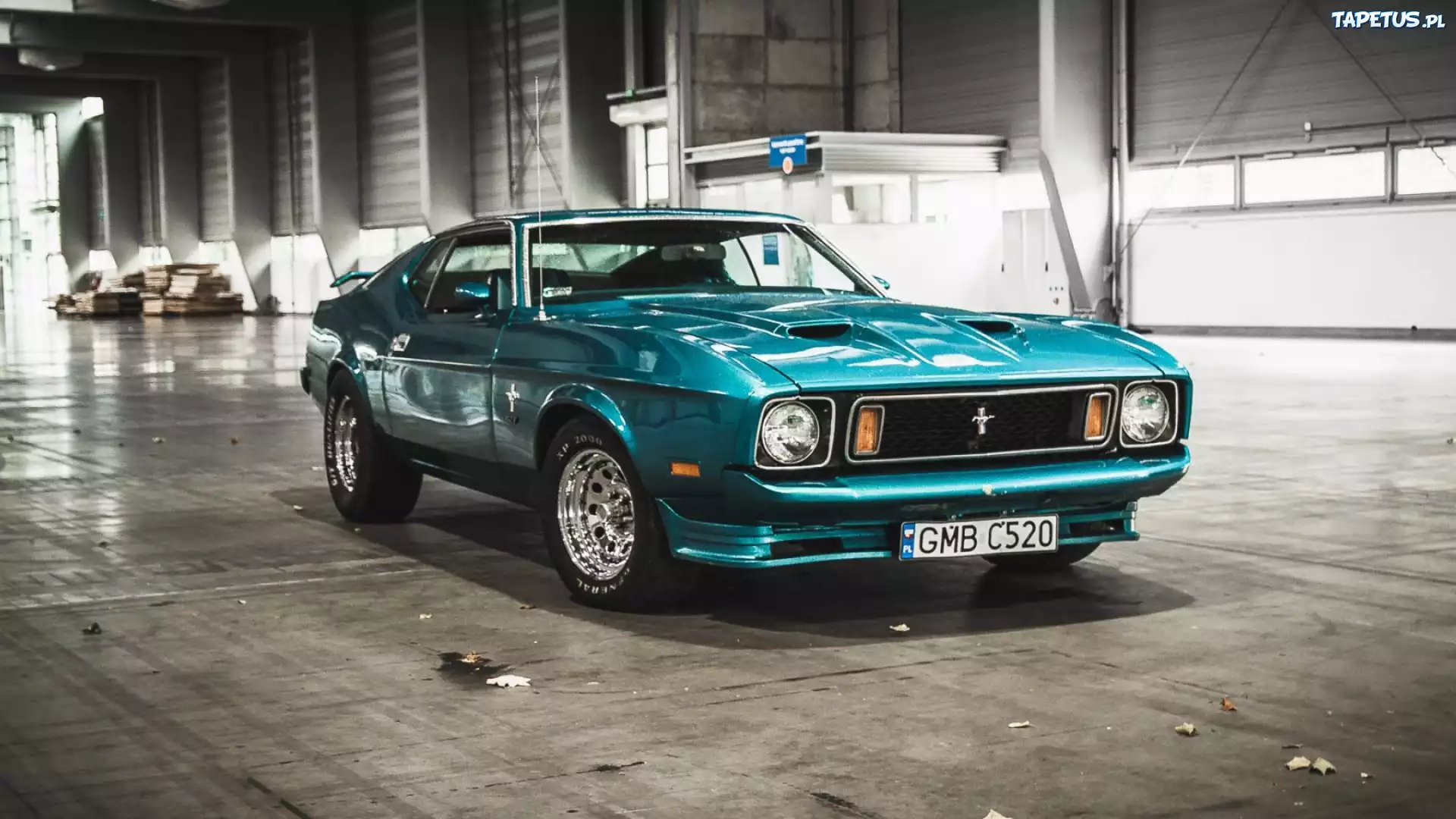 Mustang, Ford, 1973