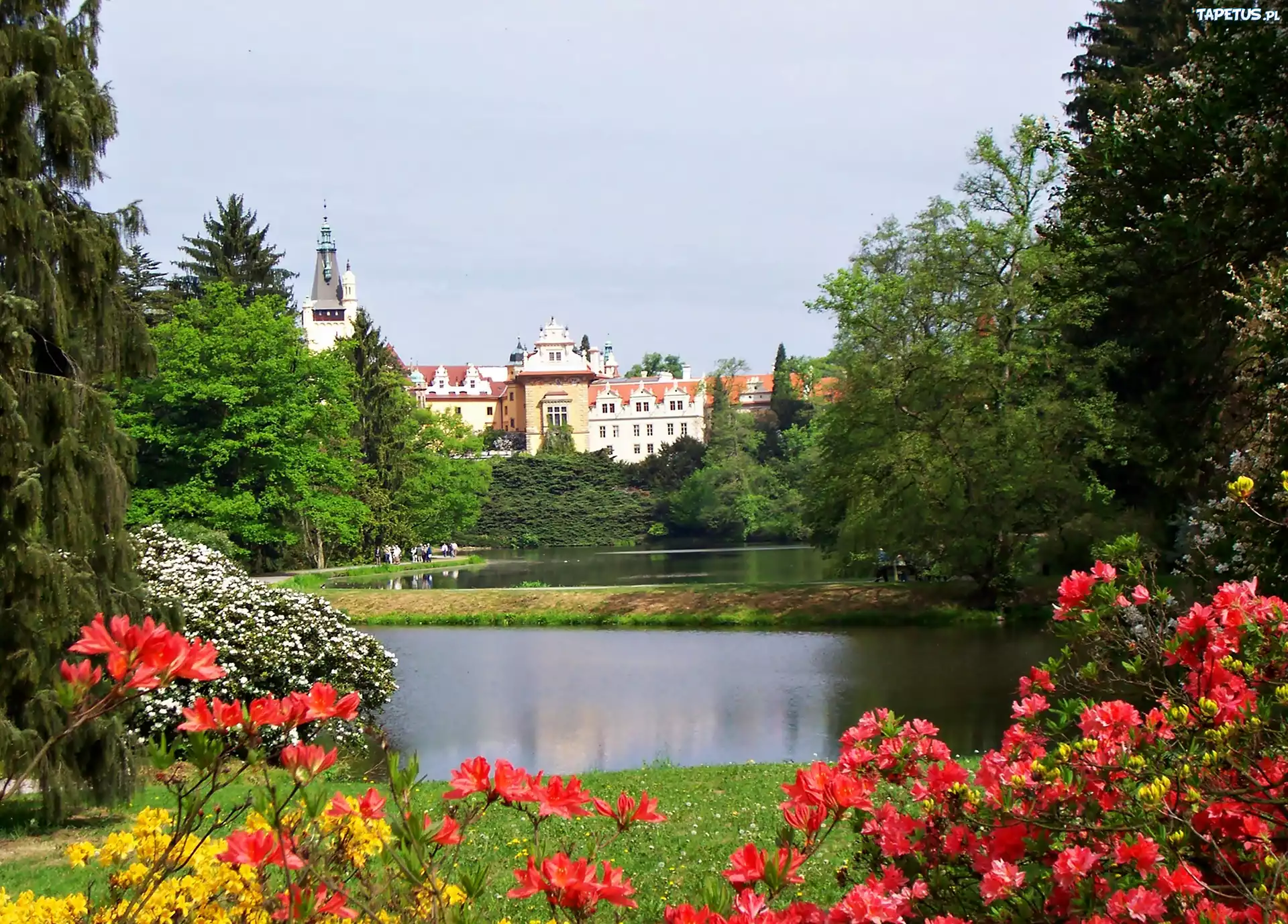 Zamek, Park, Jezioro, Wiosna, Rododendrony, Pruhonice