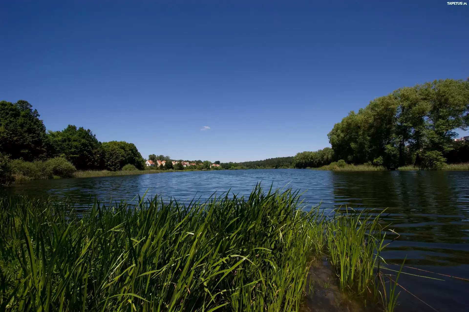 Jezioro, Trzciny, Niebo, Olsztyn