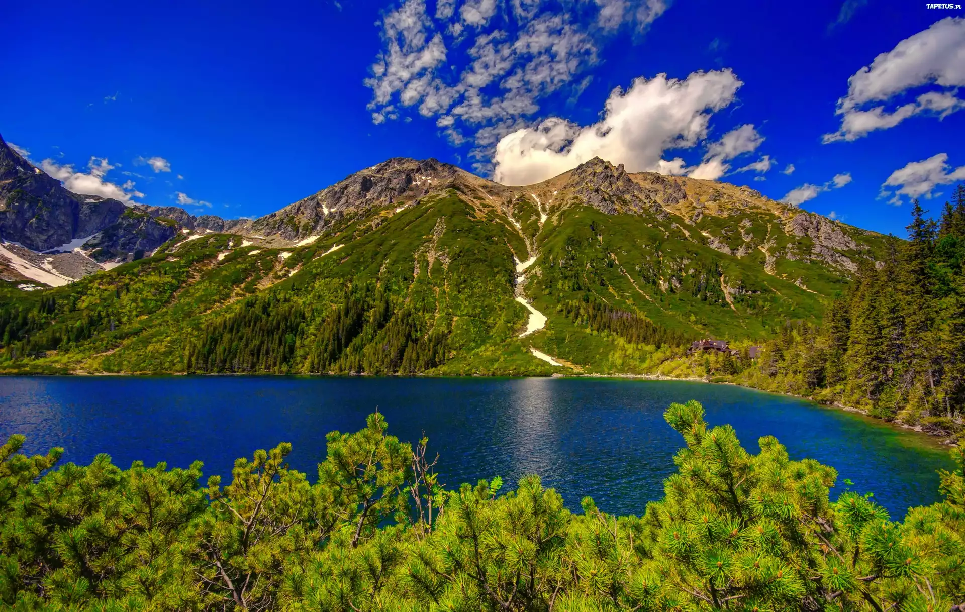 Góry, Jezioro, Lasy, Widok, Na, Tatry