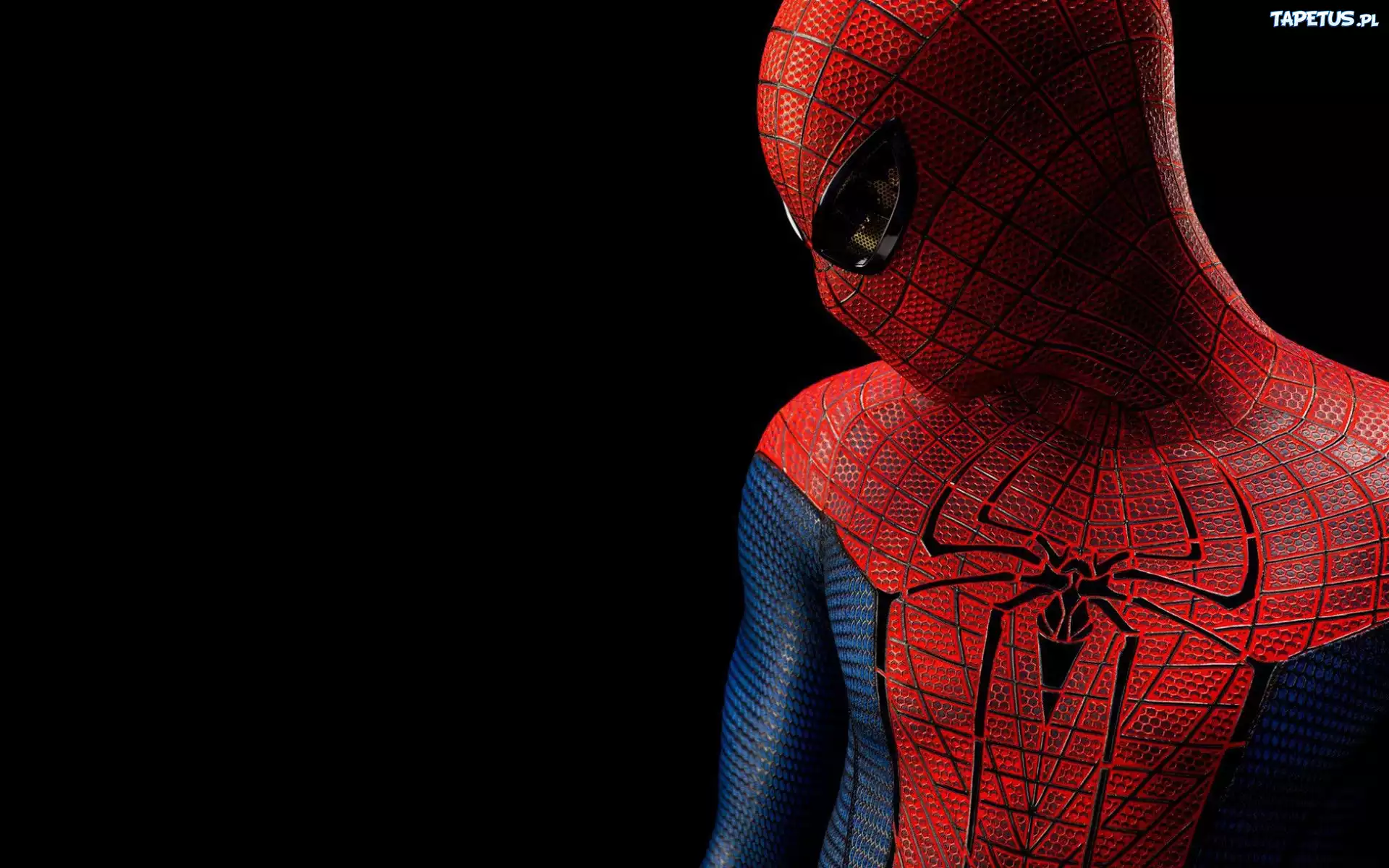 Niesamowity, Spider Man
