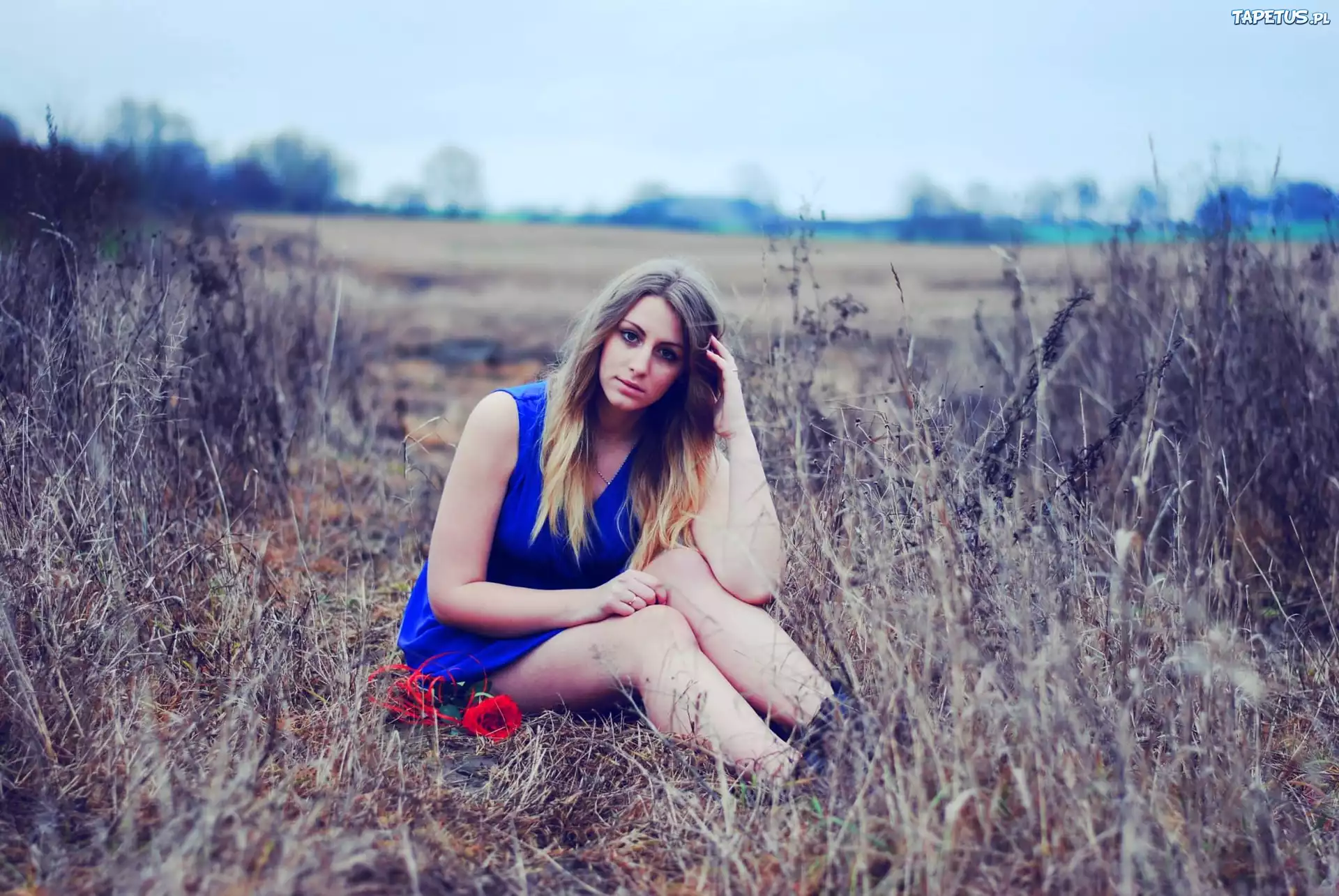 Kobieta, Blondynka, Czerwona, Róża