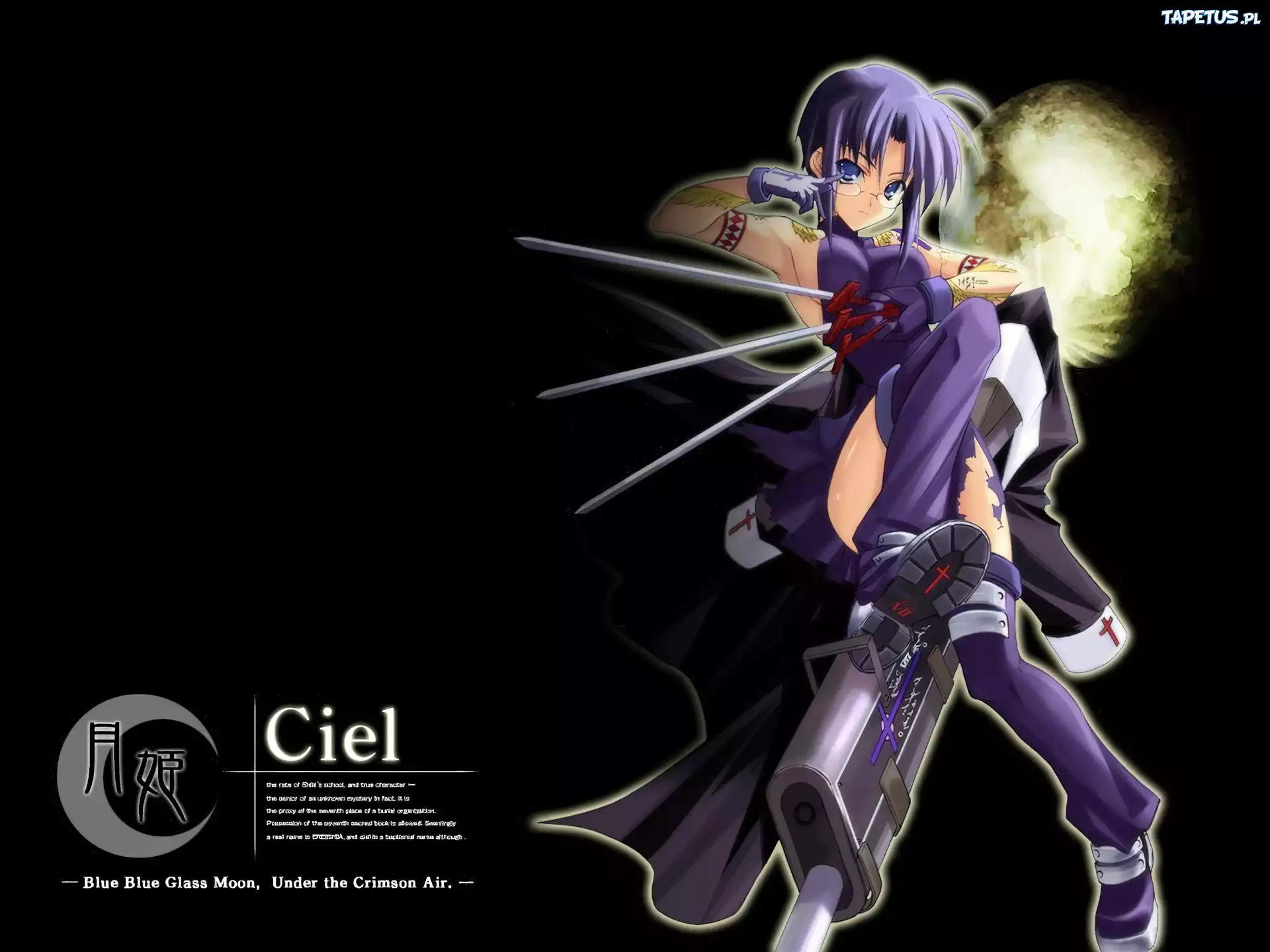 Shingetsutan Tsukihime, Ciel, miecze