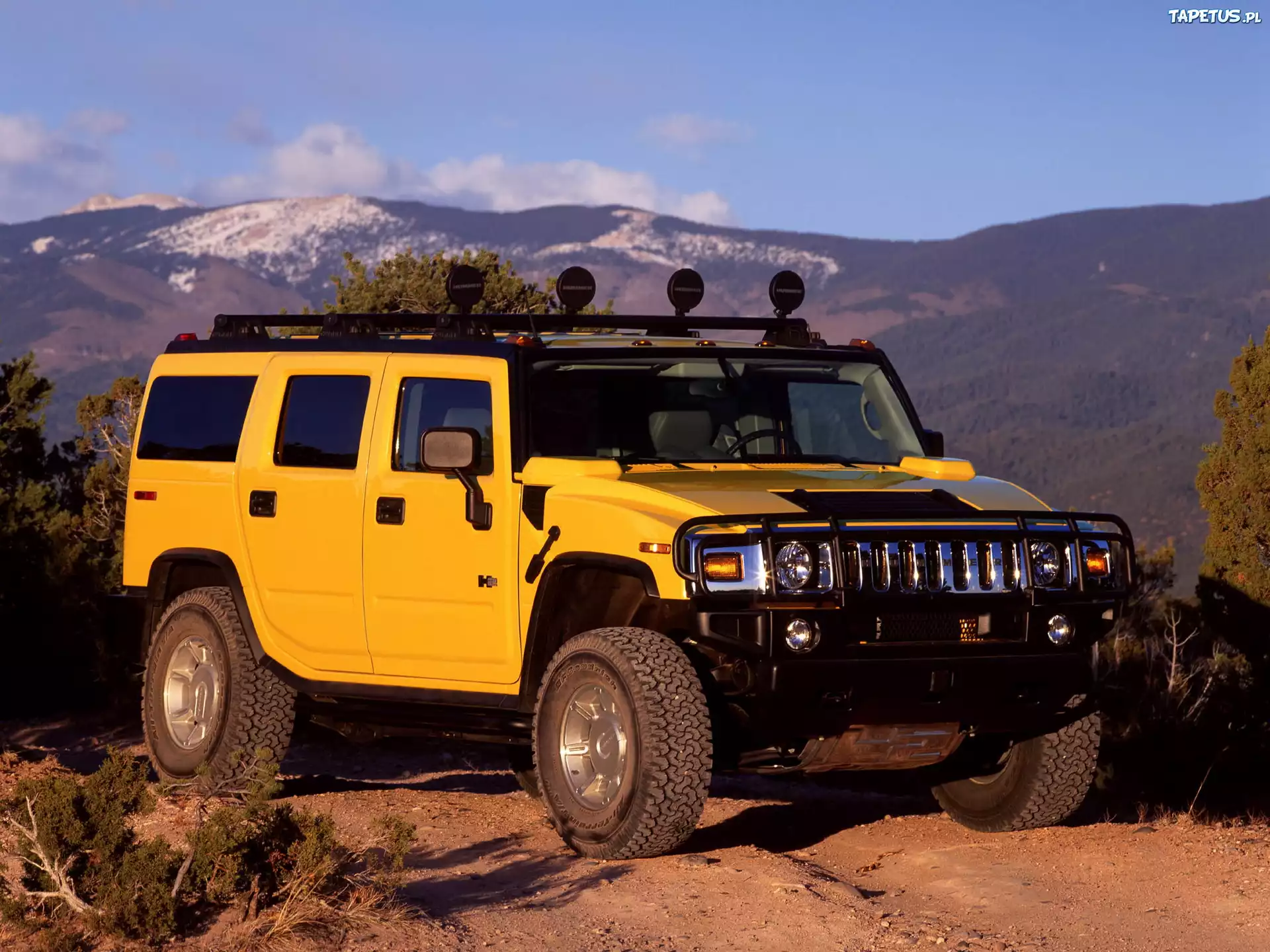 Żółty, Hummer H3