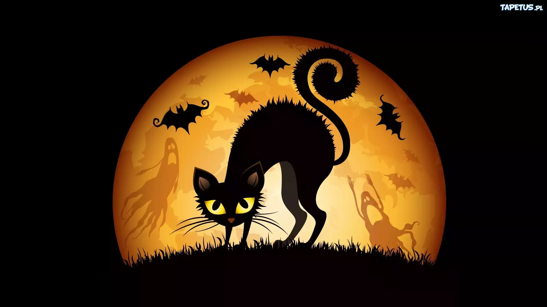 Kot, Nietoperze, Halloween, Grafika