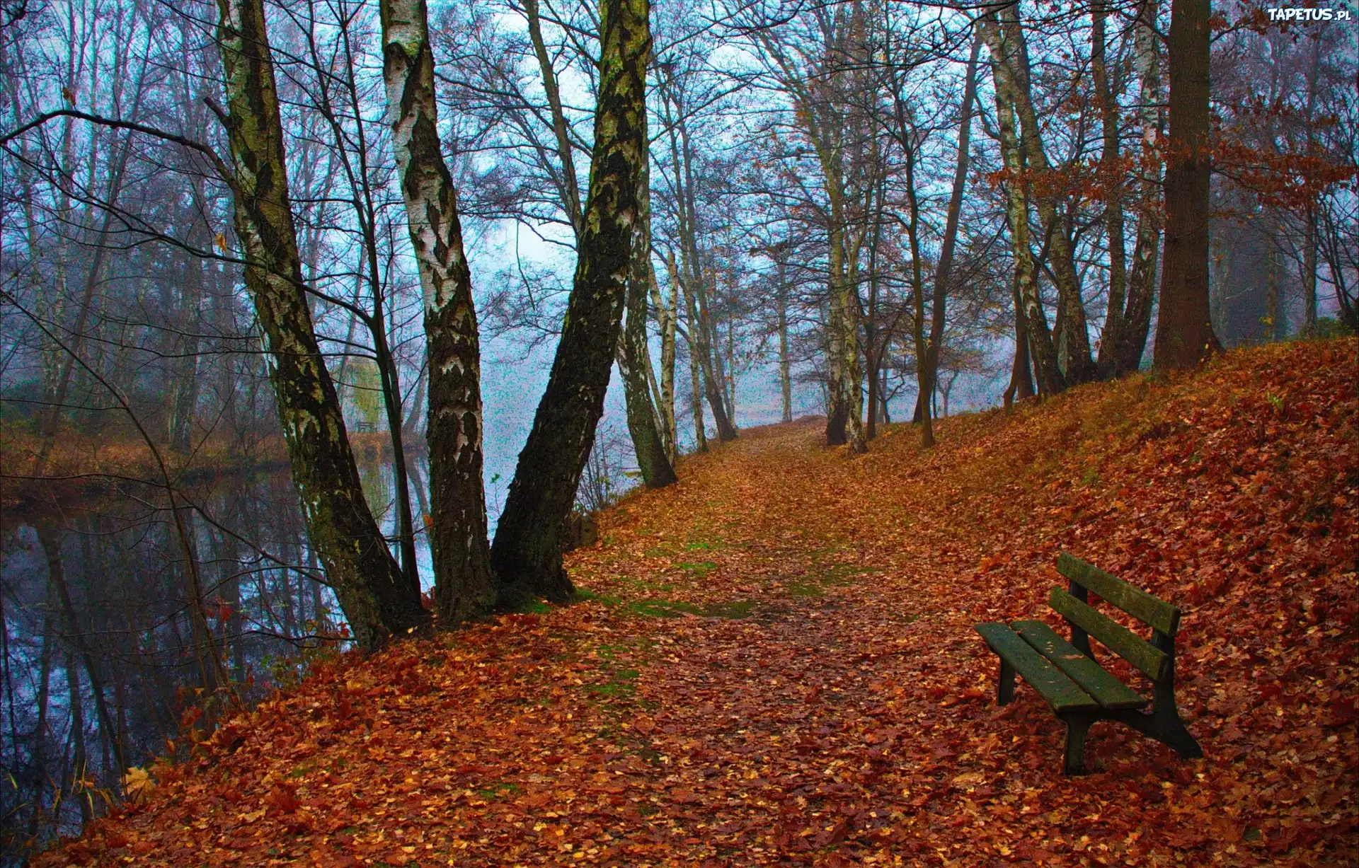 Jesień, Park, Rzeka, Ławka