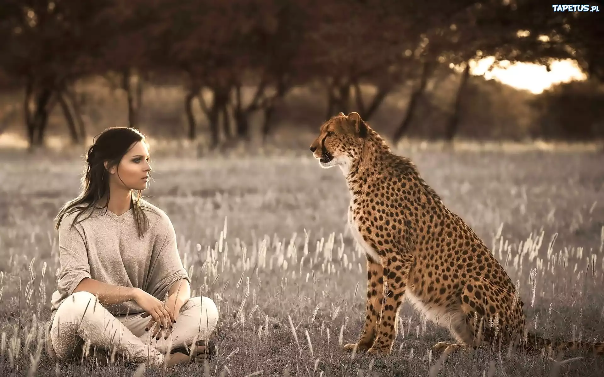 Kobieta, Gepard, Trawa