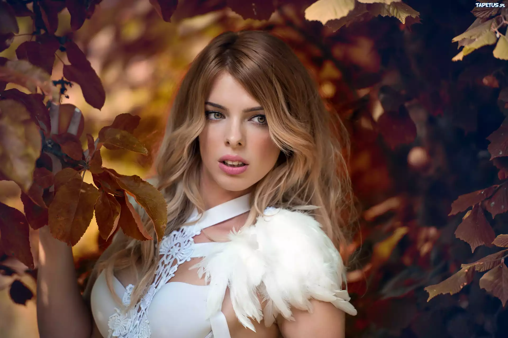 Jolie Louise, Modelka