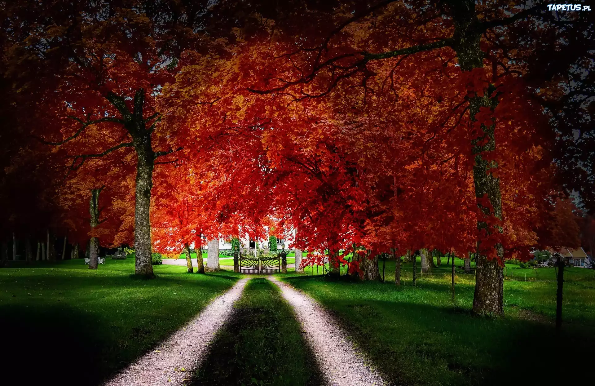 Park, Aleja, Brama, Dworek, Jesień