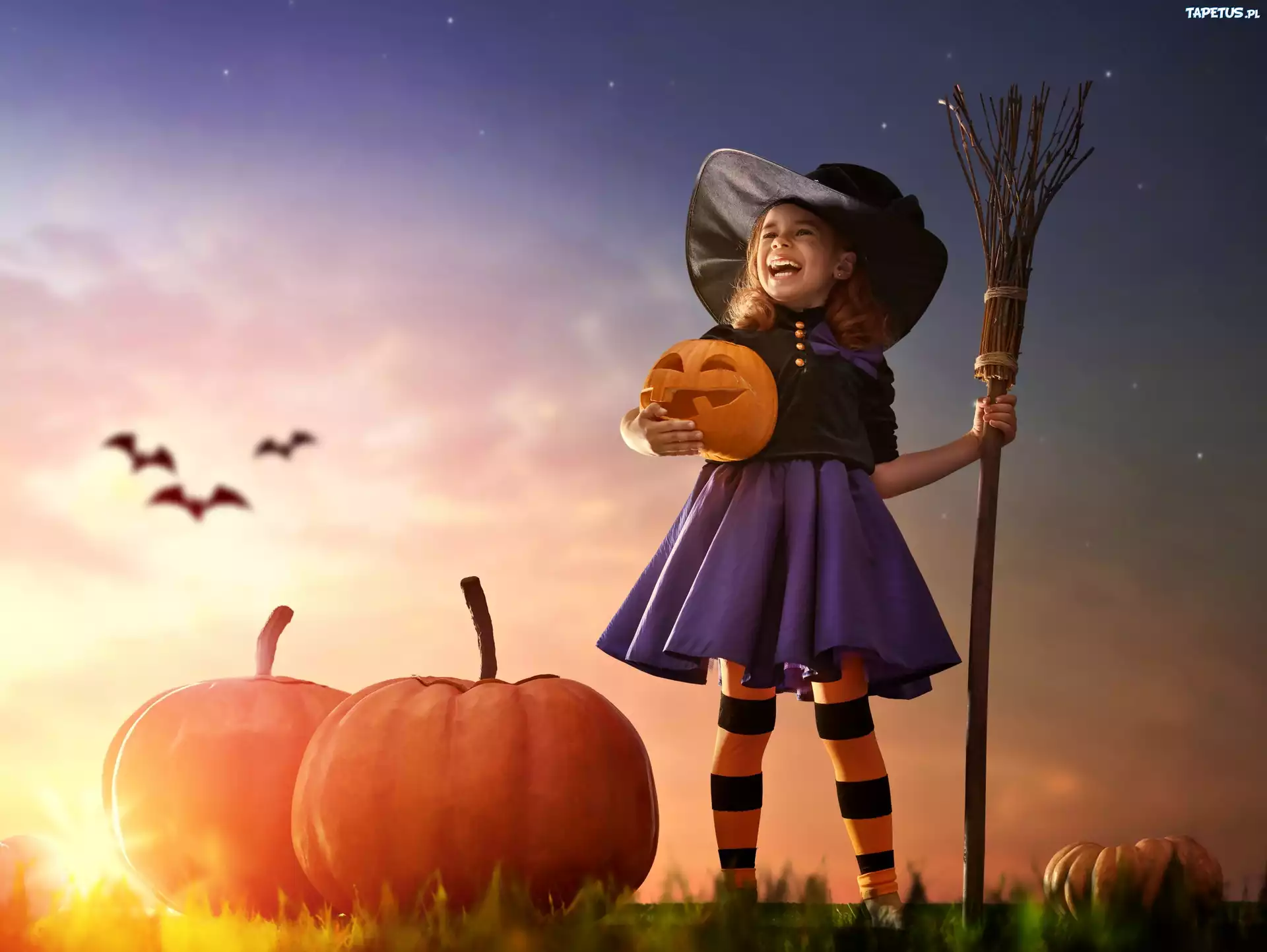 Halloween, Dziewczynka, Dynie, Nietoperze, Miotła