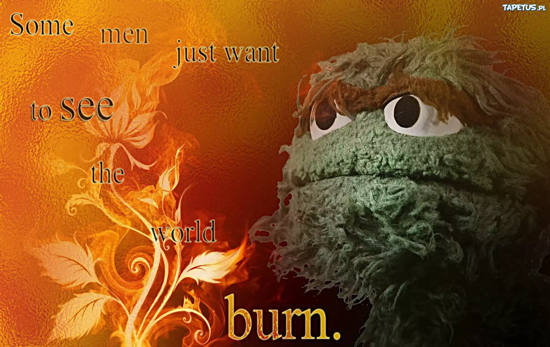 Ulica Sezamkowa, Sesame Street, Oscar