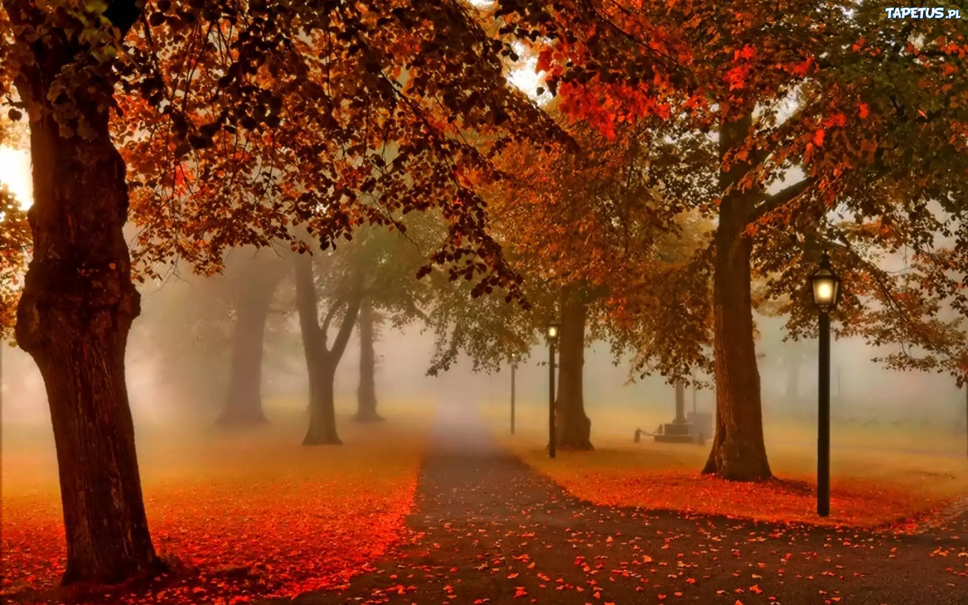 Park, Alejki, Latarnie, Mgła, Liście, Jesień