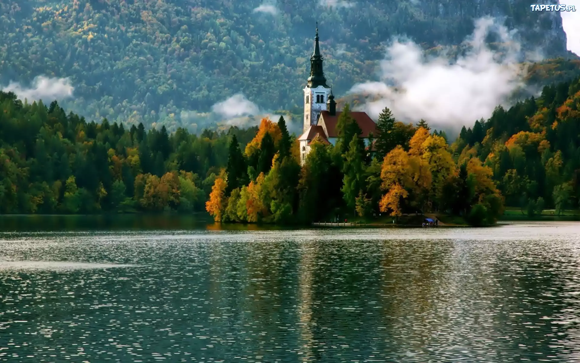Jezioro, Bled, Las, Mgła, Kościół, Jesień, Słowenia