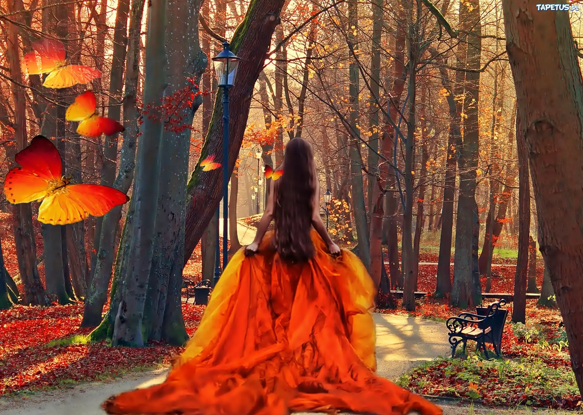 Fantasy, Las, Kobieta, Motyle