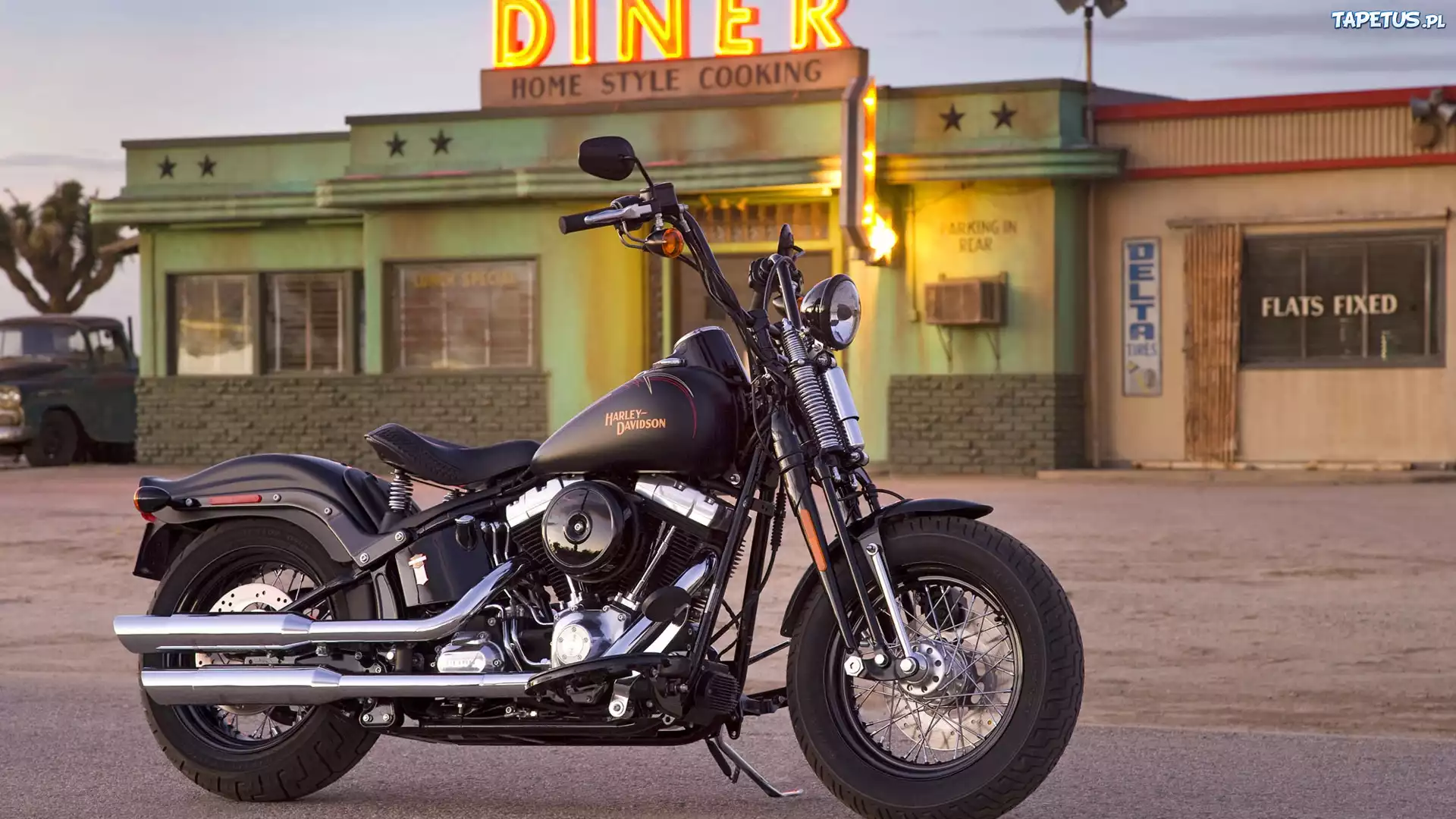 Czarny, Harley-Davidson FLSTSB Softail Cross Bones