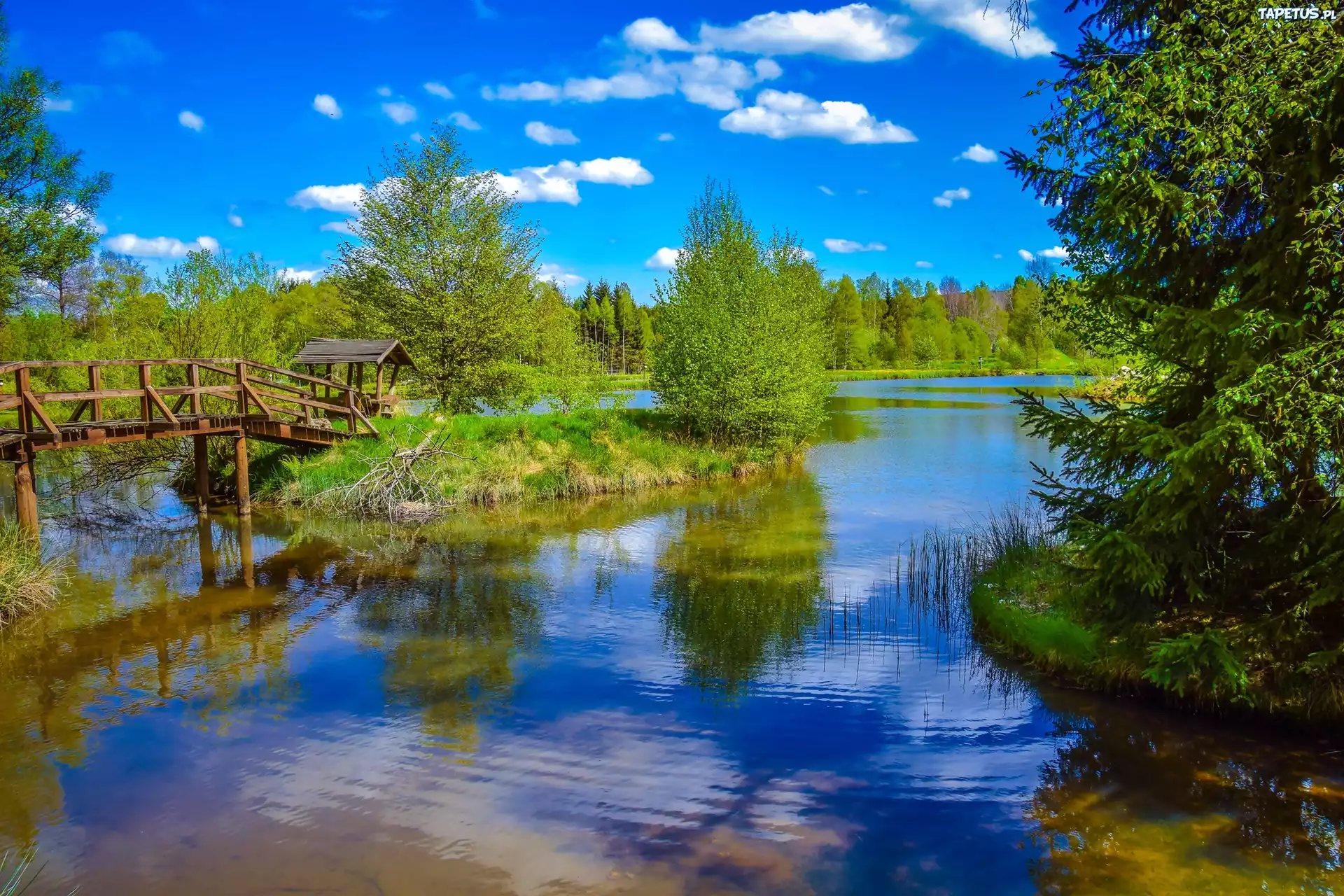 Mostek, Jezioro, Las