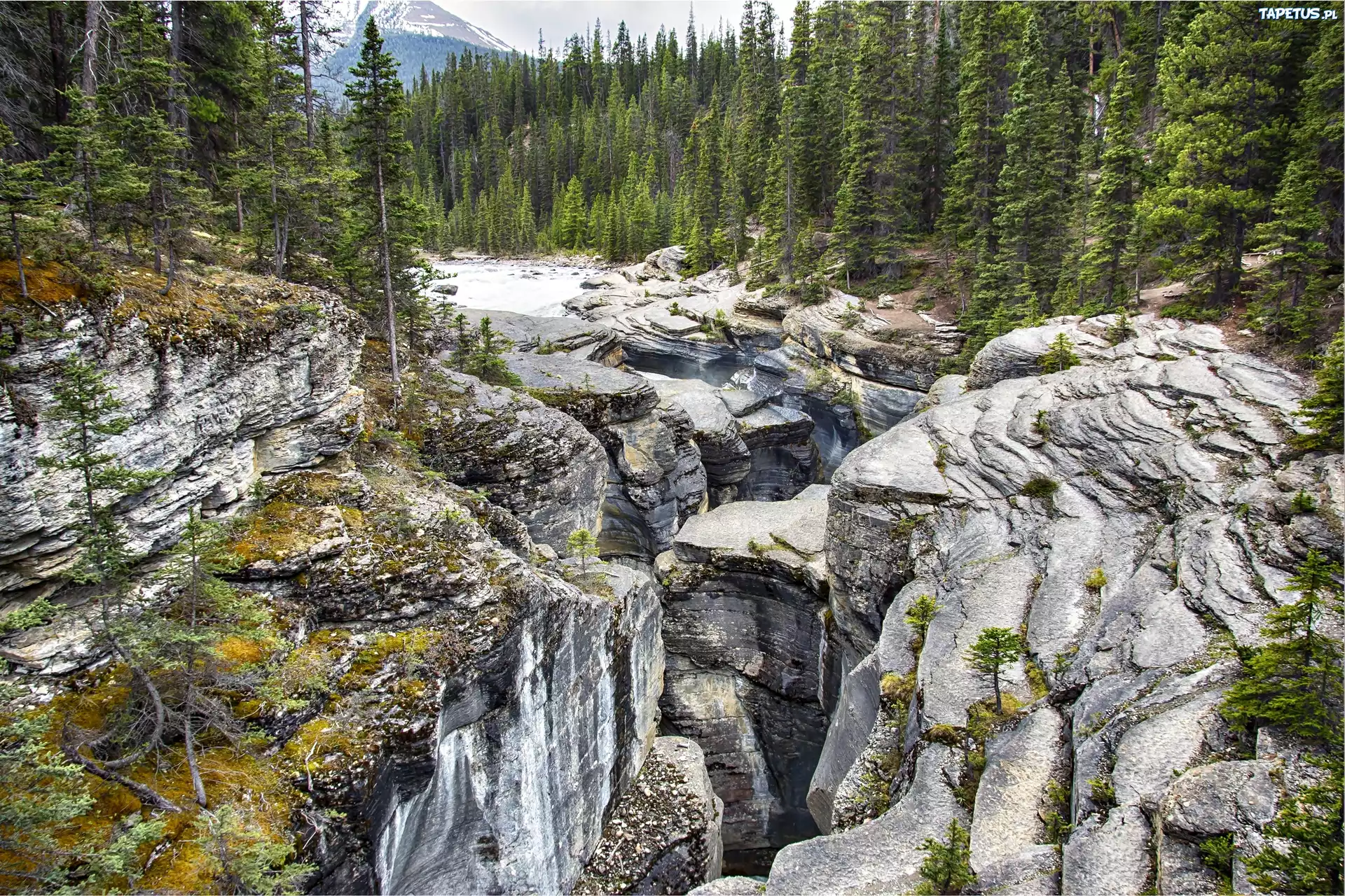 Góry, Las, Kanion, Banff, Kanada