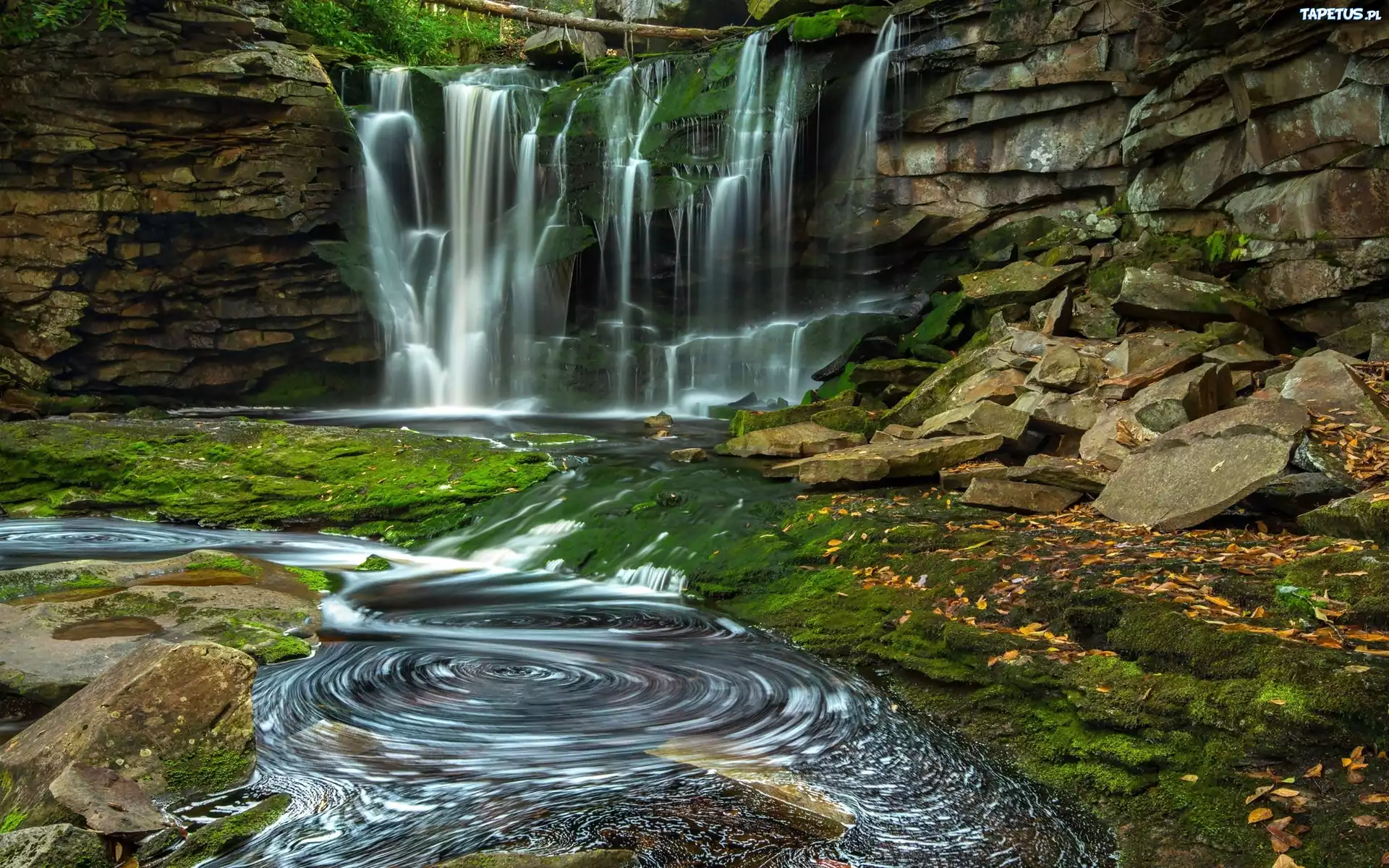 Wodospad, Elakala, Virginia, USA