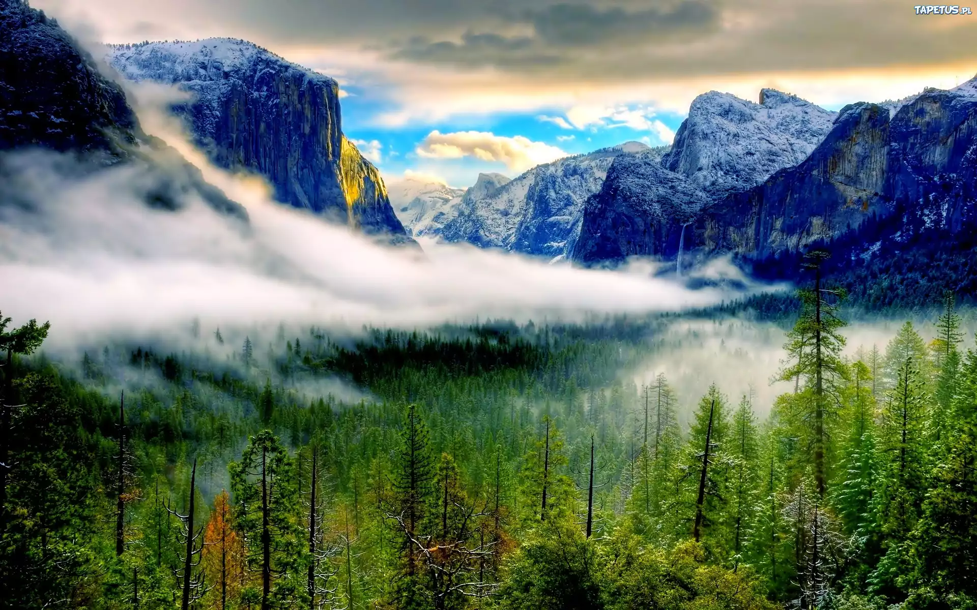 Góry, Lasy, Mgła, Yosemite