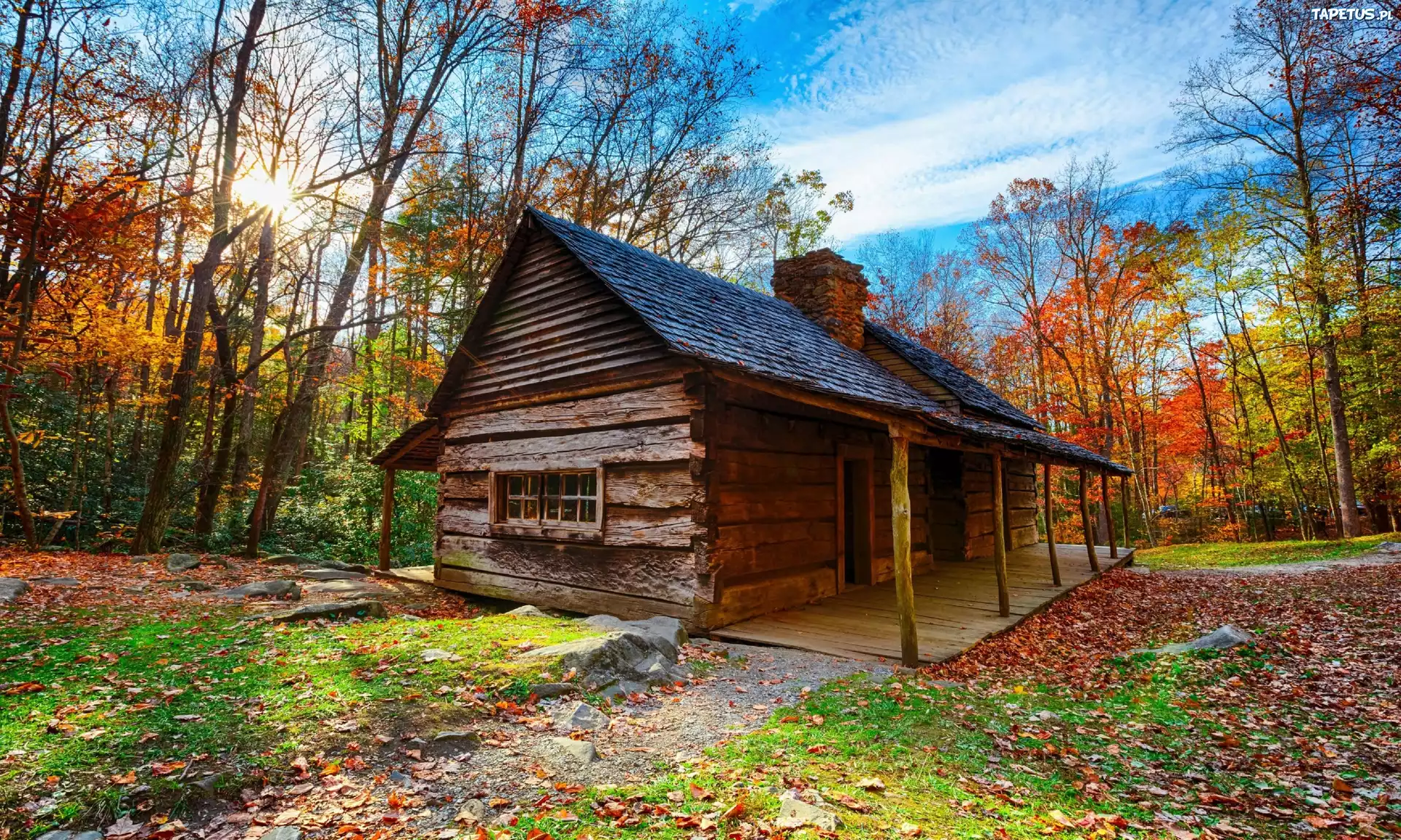 Stany Zjednoczone, Park Narodowy Great Smoky Mountains, Drzewa, Dom, Promienie słońca, Liście, Jesień
