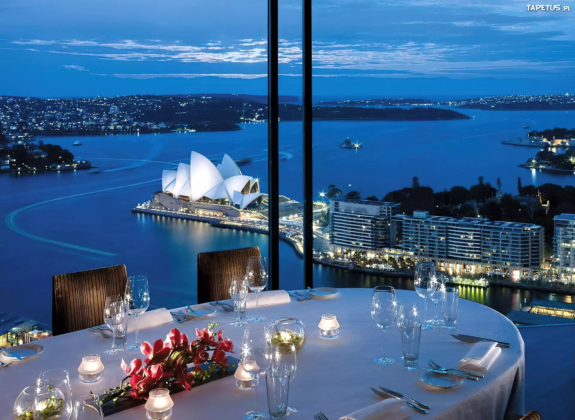 Restauracja, Taras, Opera w Sydney, Panorama, Australia