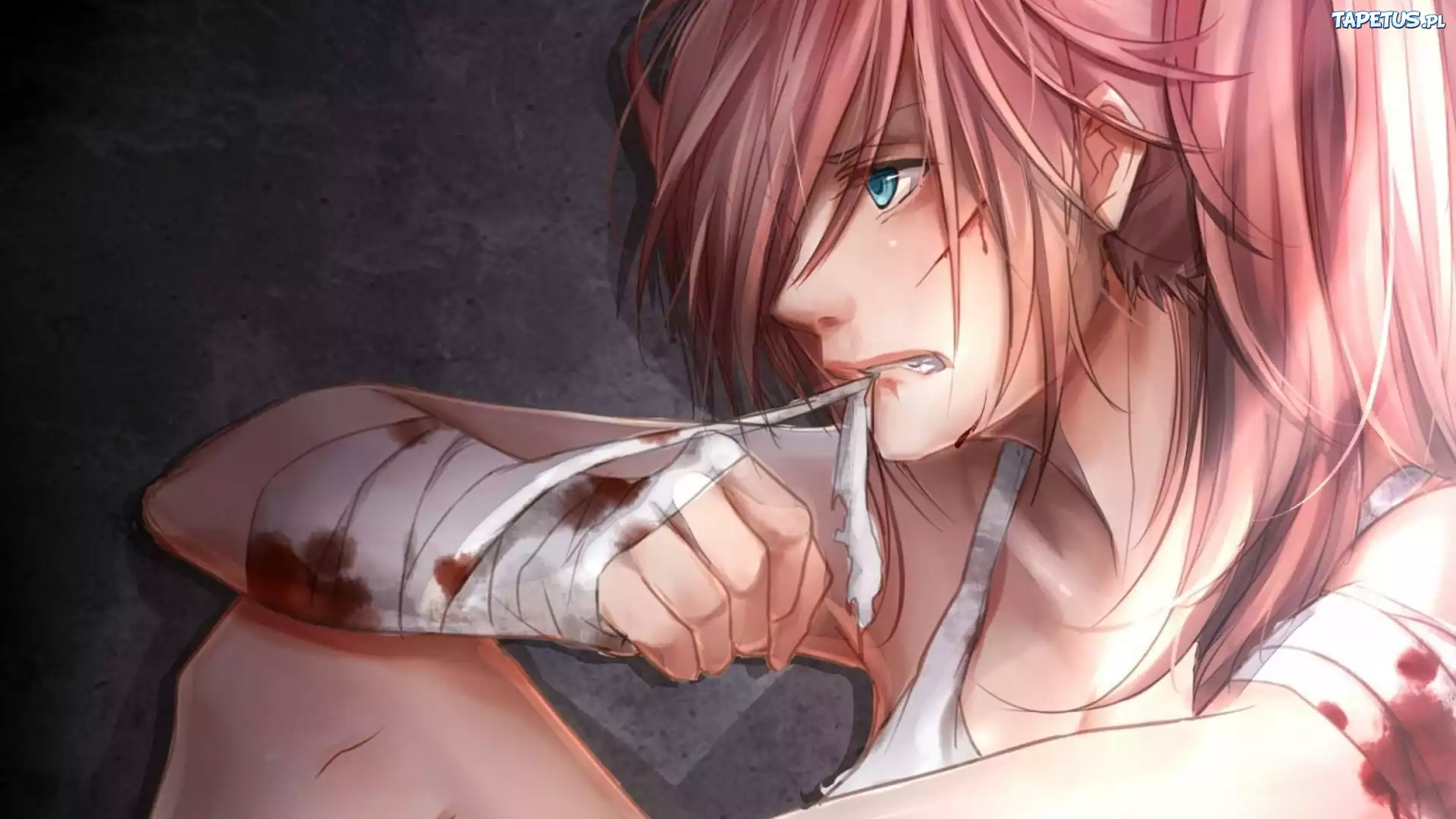 Vocaloid, Megurine Luka